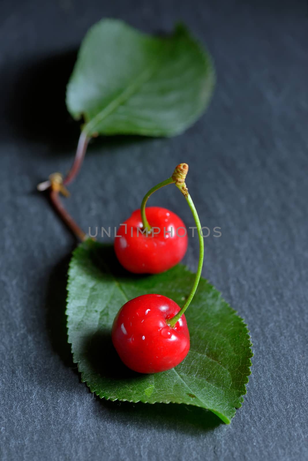 Sweet cherries and  leaf on ardesia plate