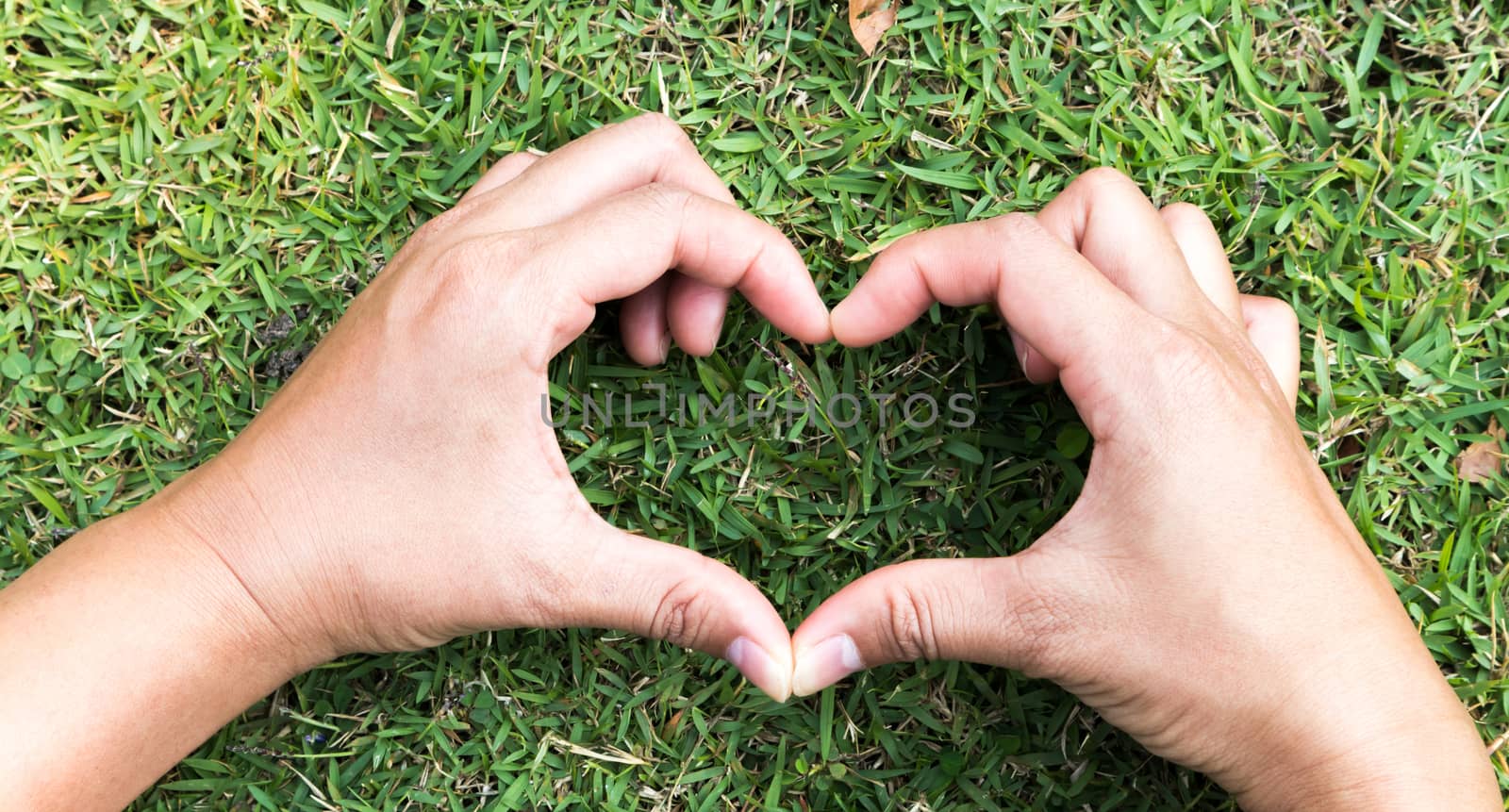 Closeup hand heart shaped on green grass for love concept