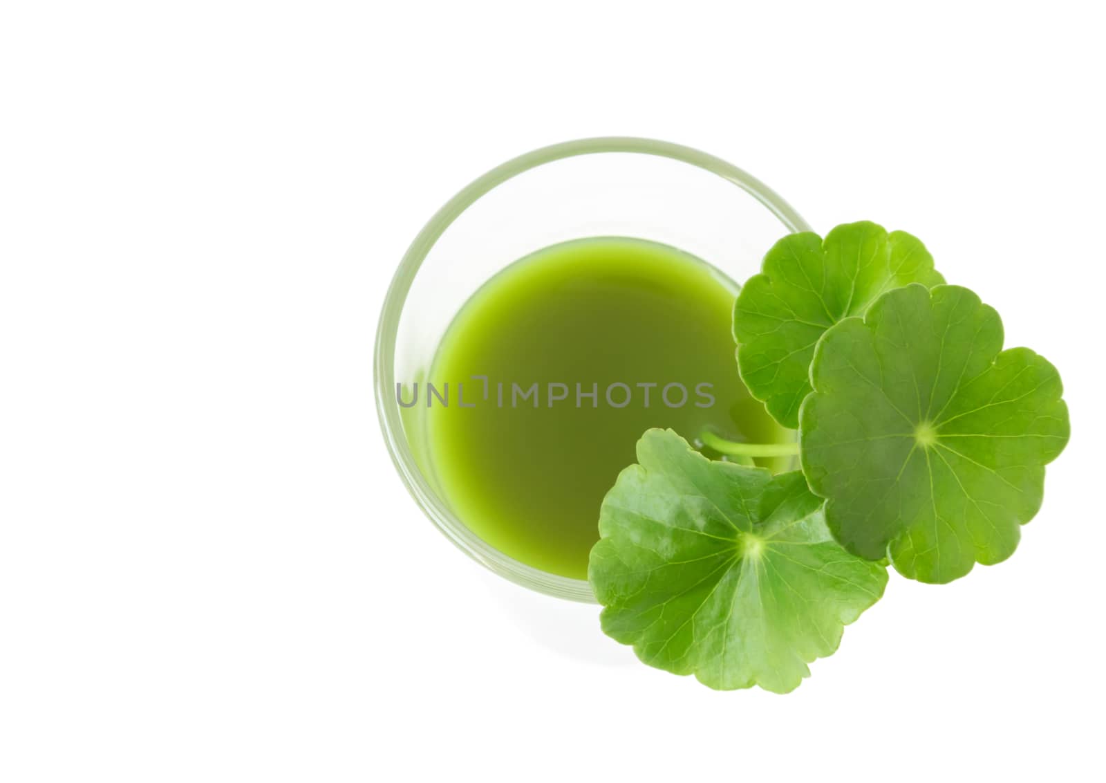 Closeup top view Gotu kola's leafs drink on white background, he by pt.pongsak@gmail.com