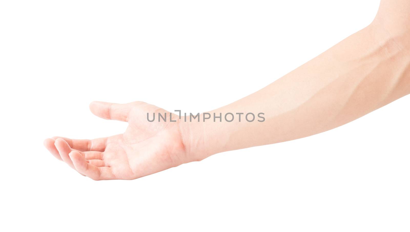 Man arm with blood veins on white background, health care and medical concept