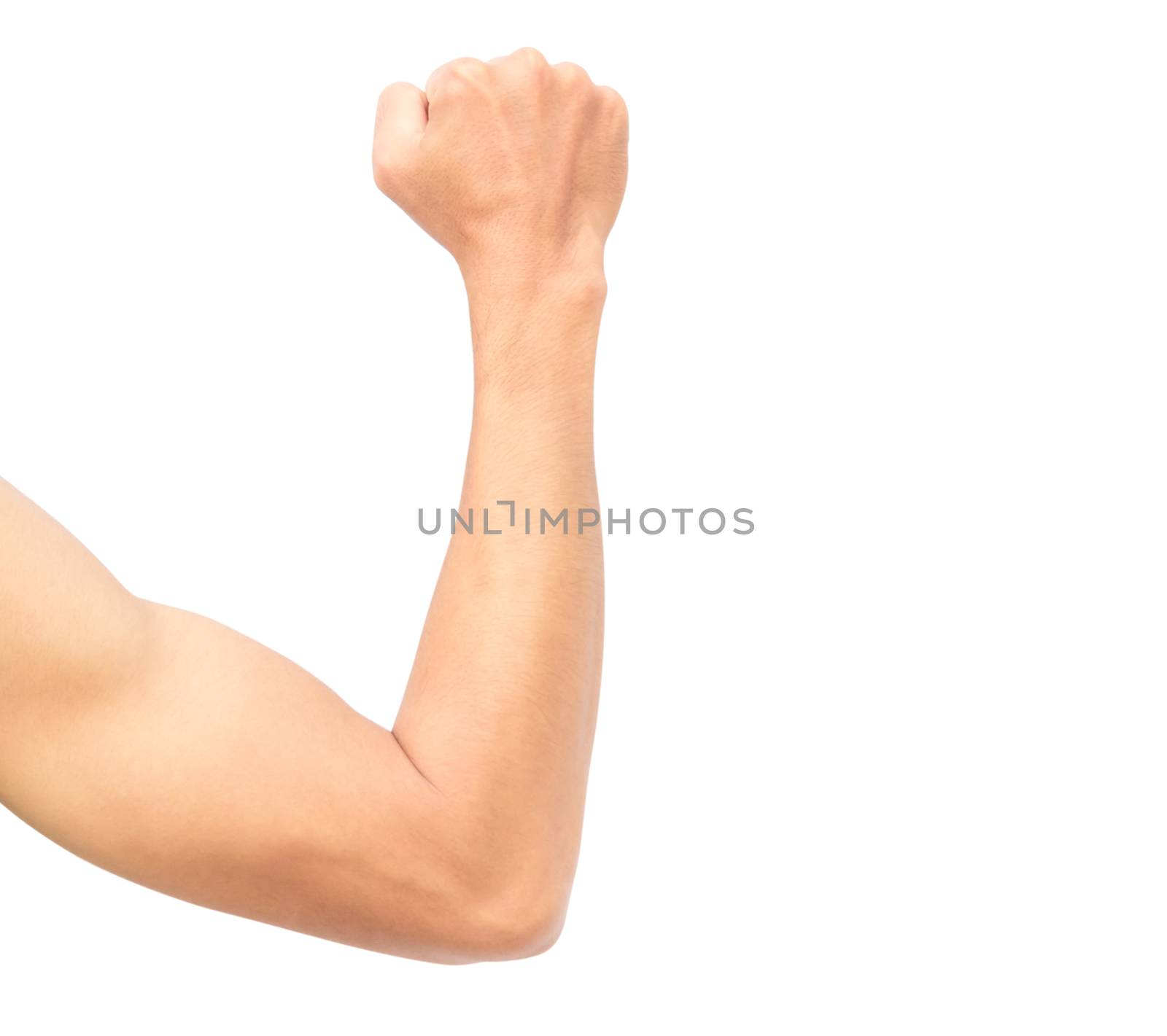 Man arm strong with muscle on white background by pt.pongsak@gmail.com