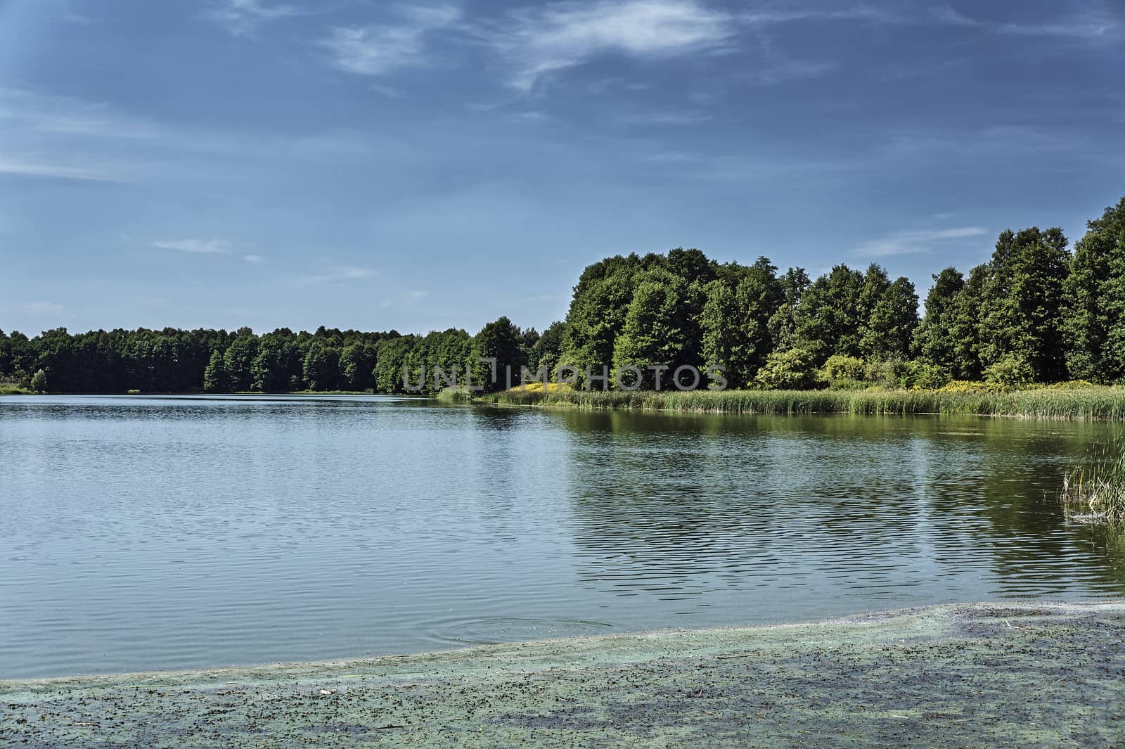 Lagoon "Blewazka" in Kobyla Gora, Poland