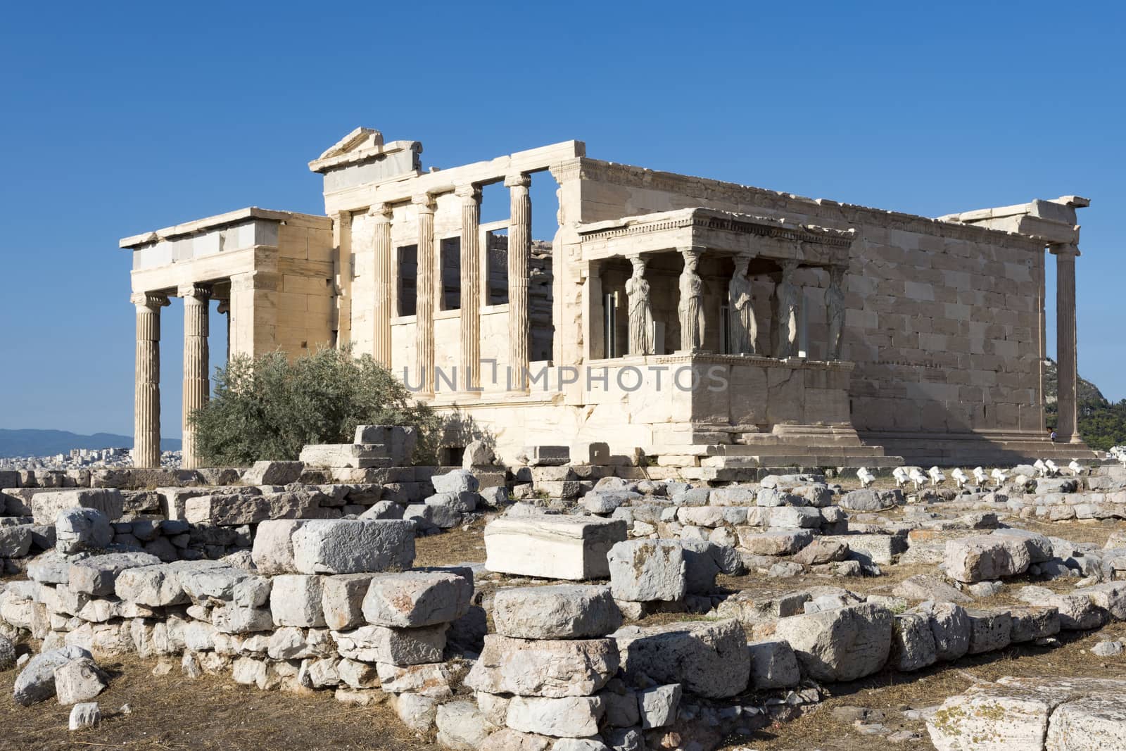 caryatides and erechtheum in acropolis