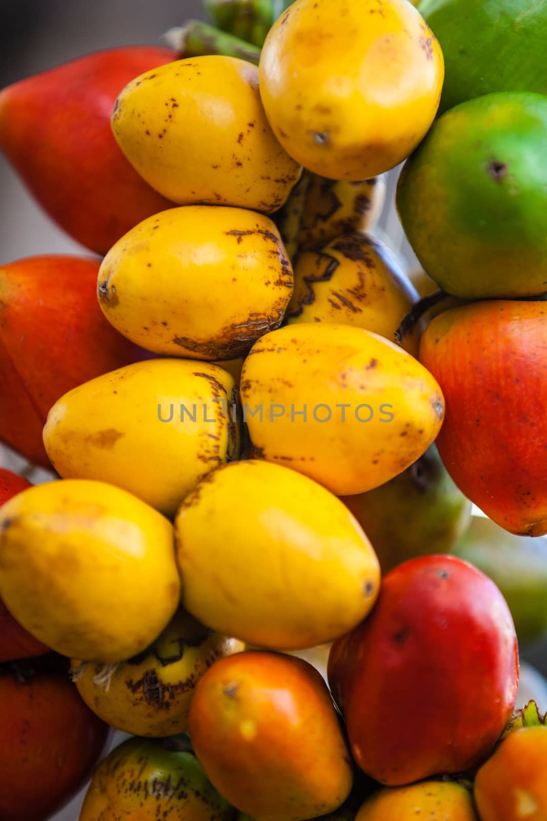 Close up of a chontaduro (Bactris gasipaes) cluster