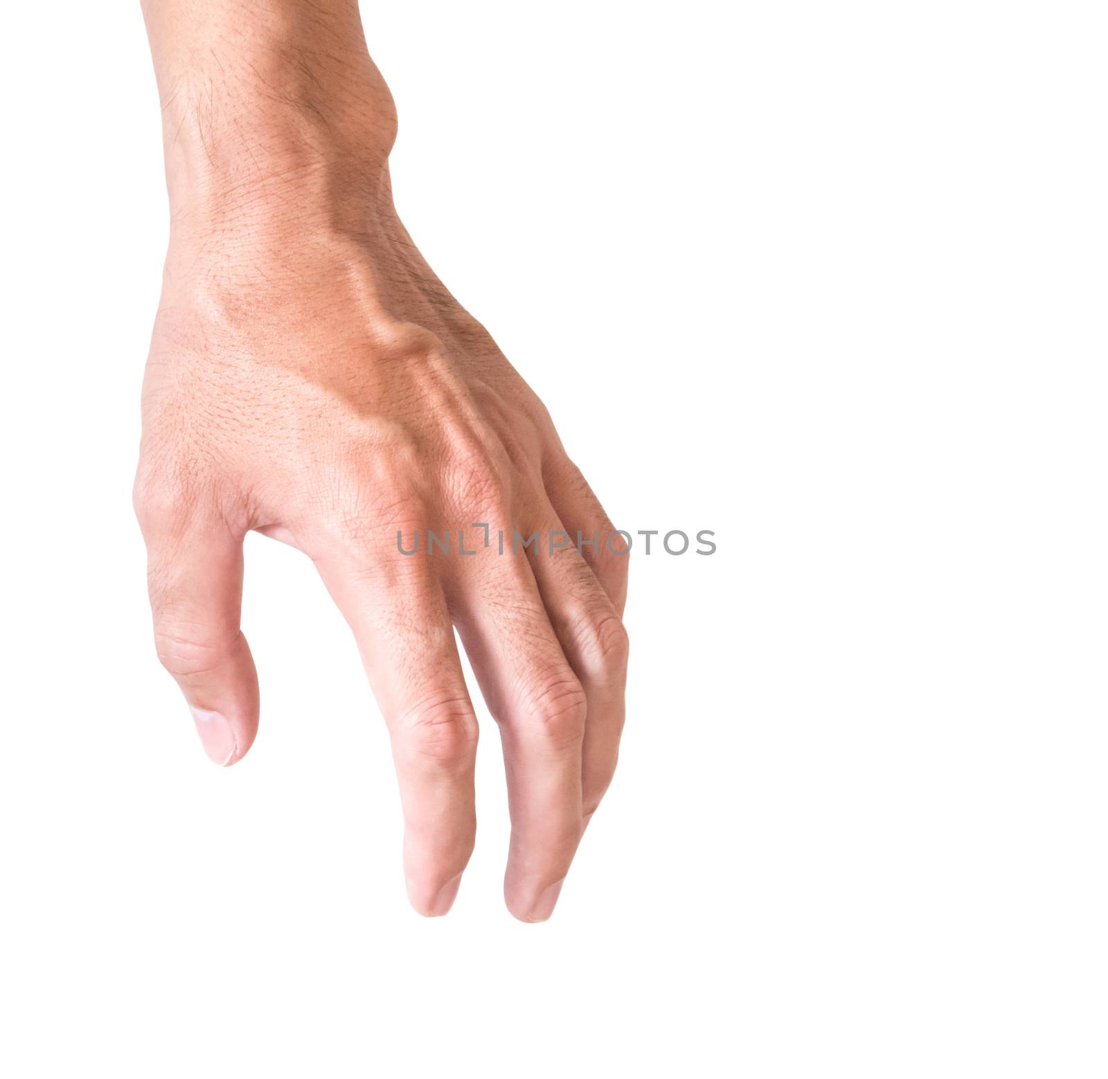 Man hand with blood veins on white background