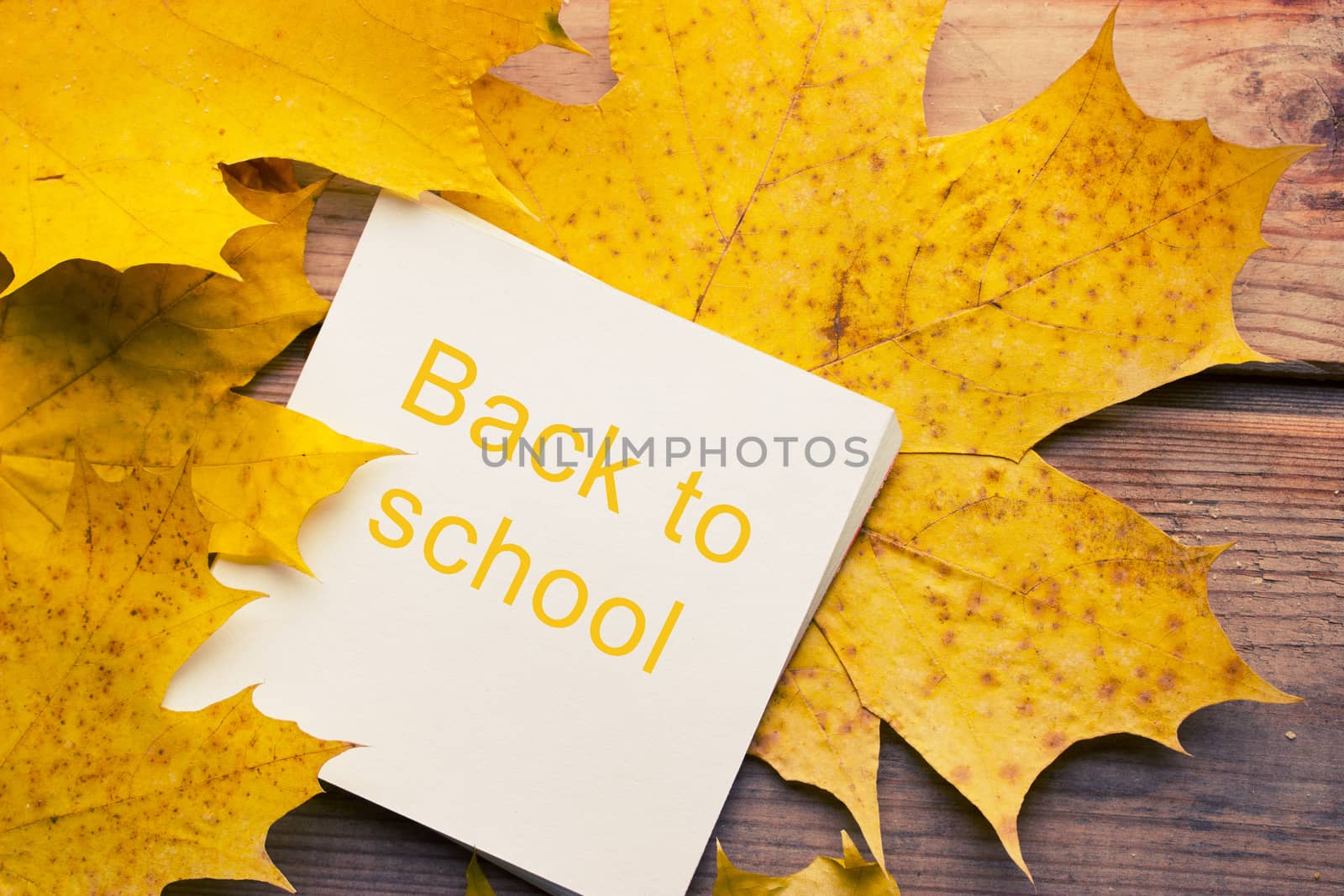 Background with bright autumn leaves and paper