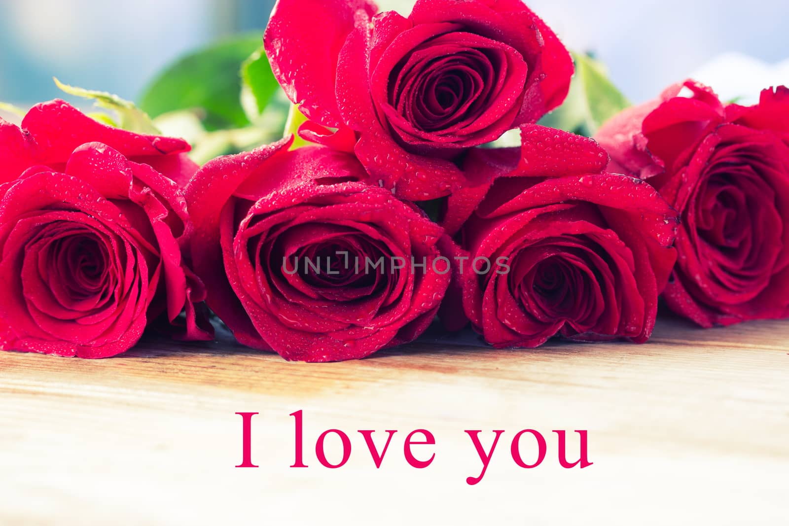 valentine day concept. red roses and words I love you