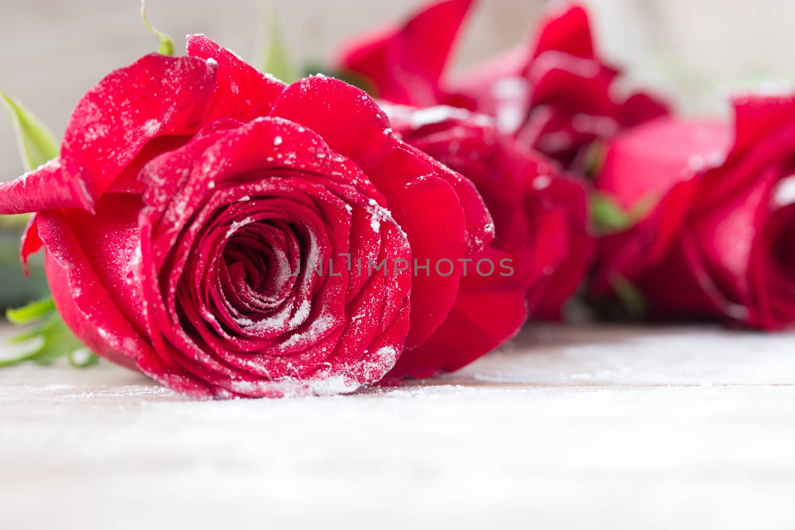 beautiful red color roses on wooden table