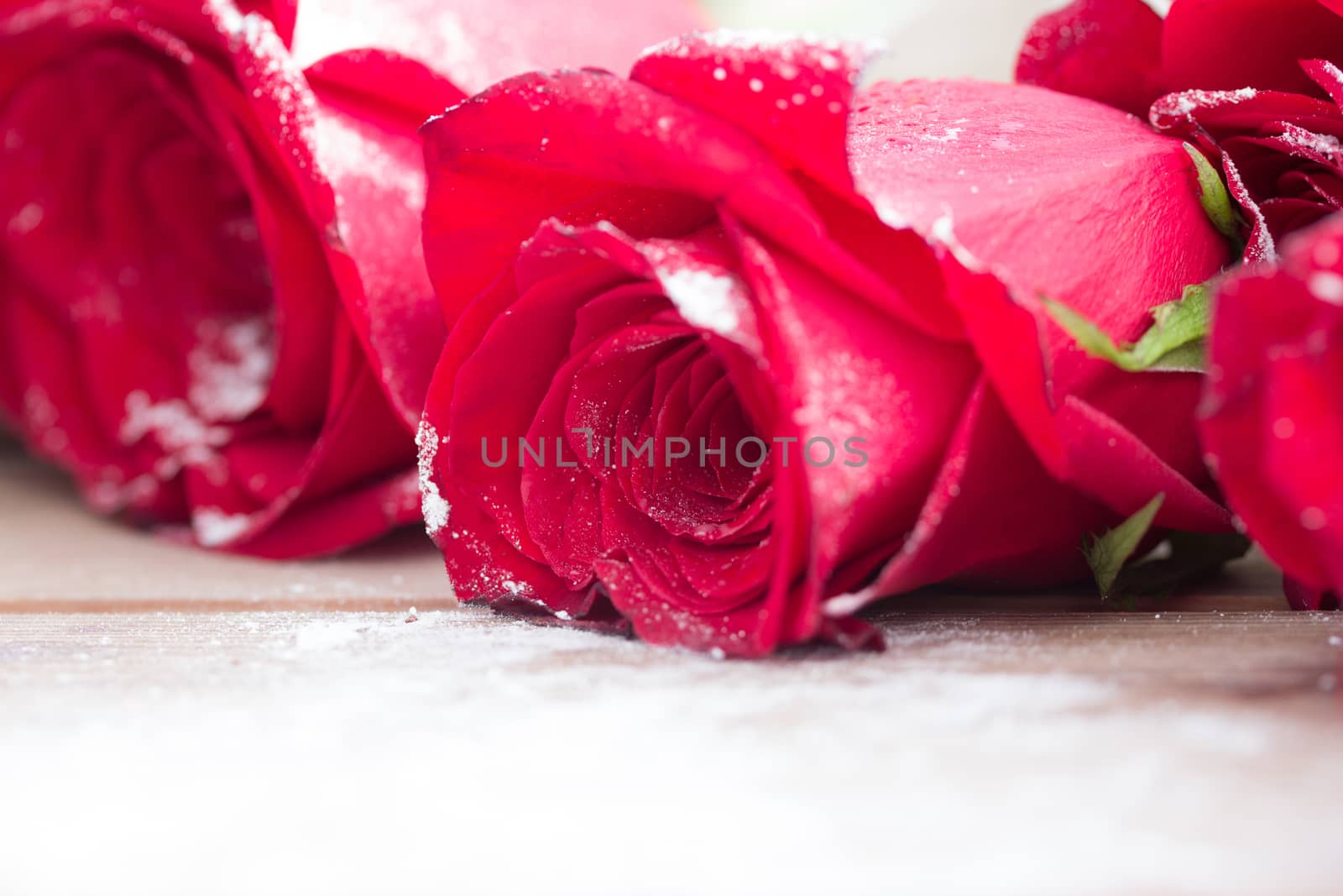 beautiful red color roses on wooden table