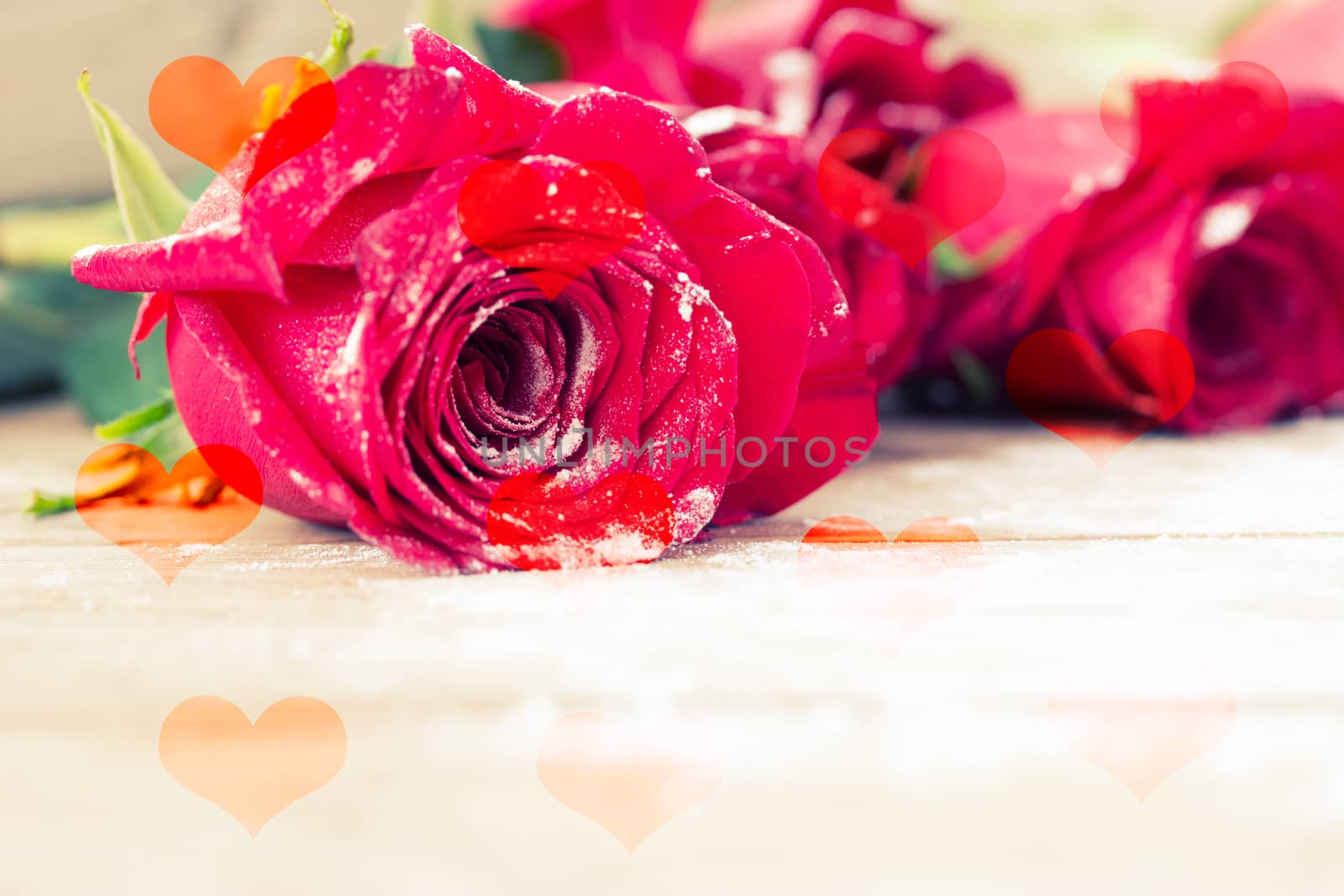 beautiful red color roses on wooden table