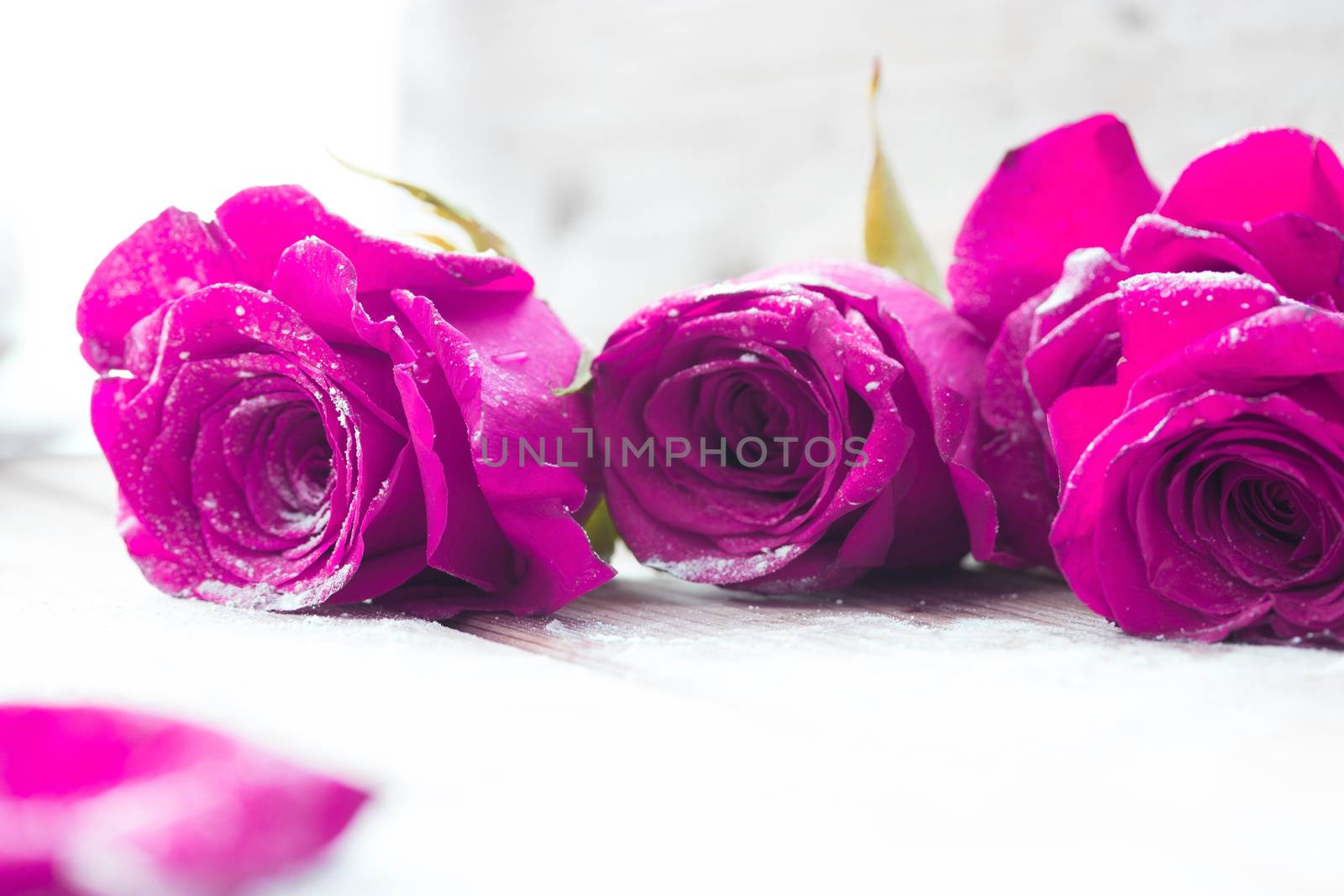 beautiful red color roses on wooden table