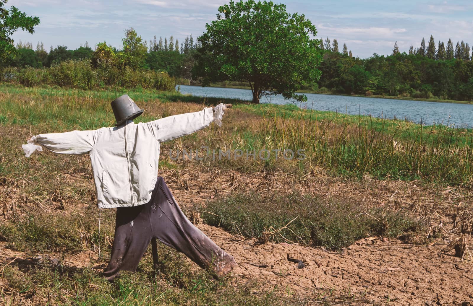 Scarecrow and nature, vintage tone color by pt.pongsak@gmail.com