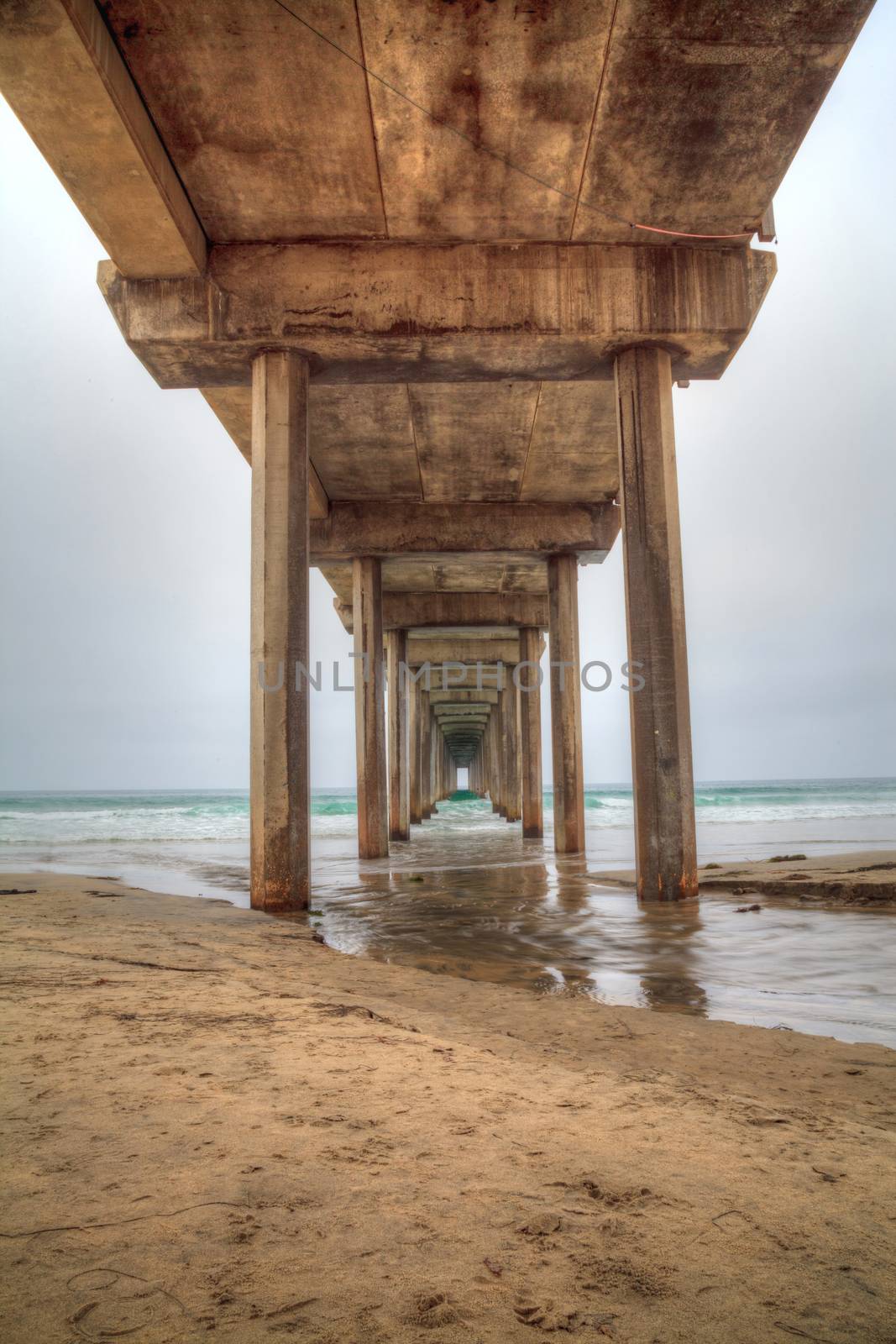 Under the Scripps pier in La Jolla by steffstarr