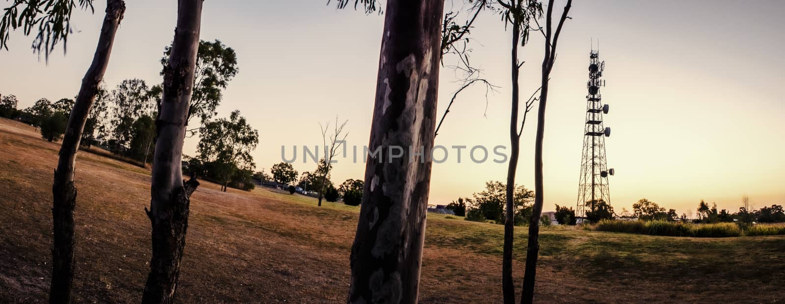 Large radio and communications tower in Queensland. by artistrobd