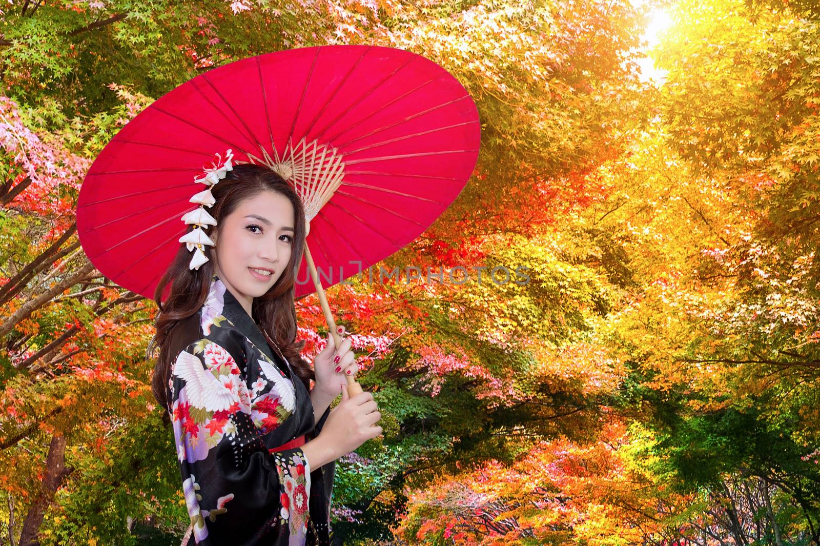 Asian woman wearing kimono in autumn. by gutarphotoghaphy