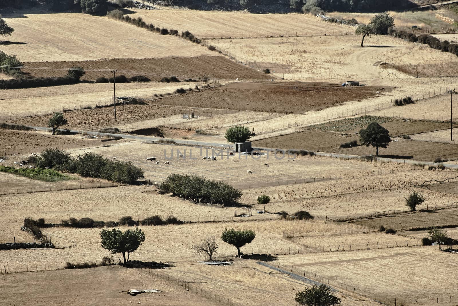 Rural landscape on the island of Crete, Greece