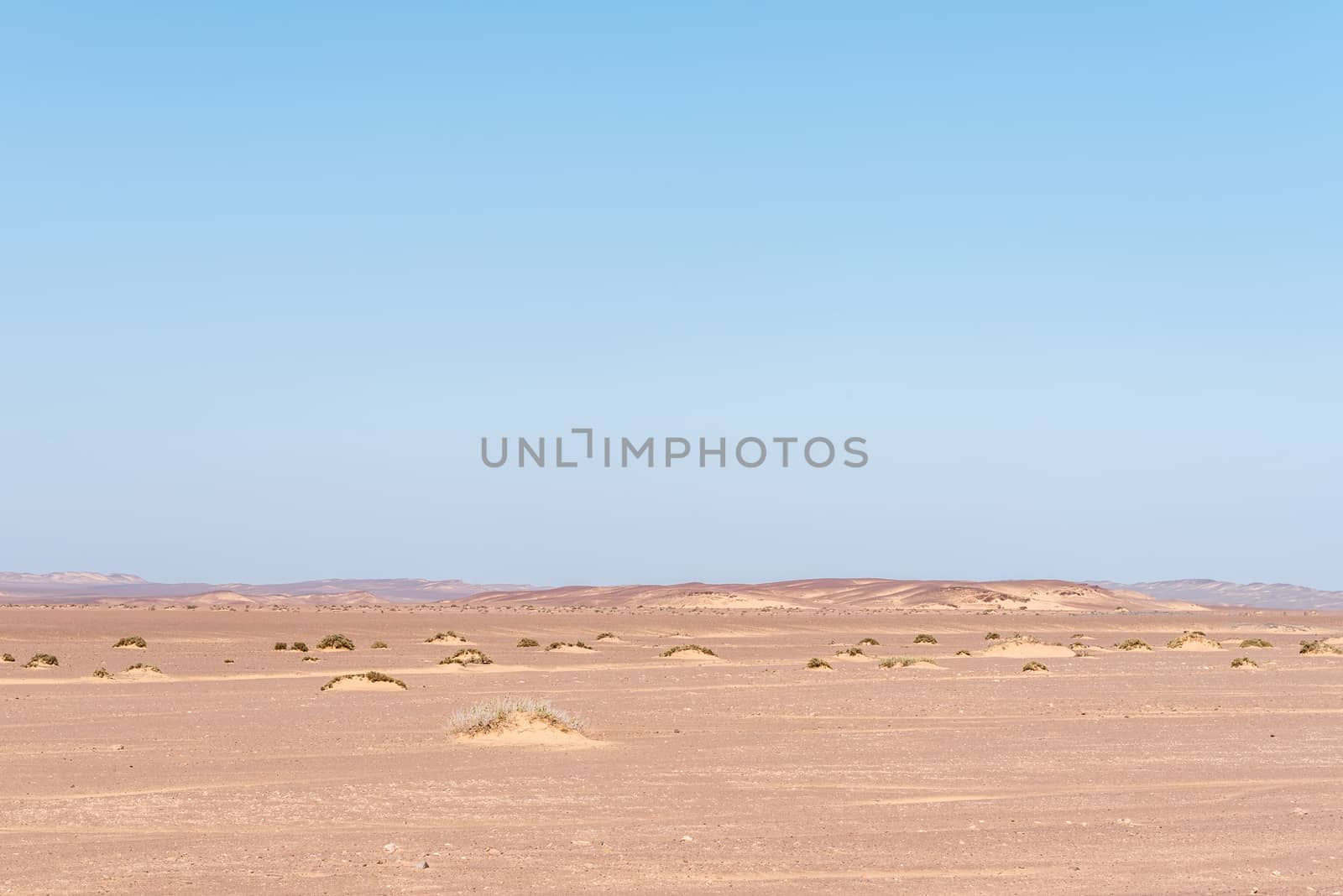 A Namib desert landscape in the Skeleton Coast area of Namibia, with sand accumulating against vegetation, forming small dunes
