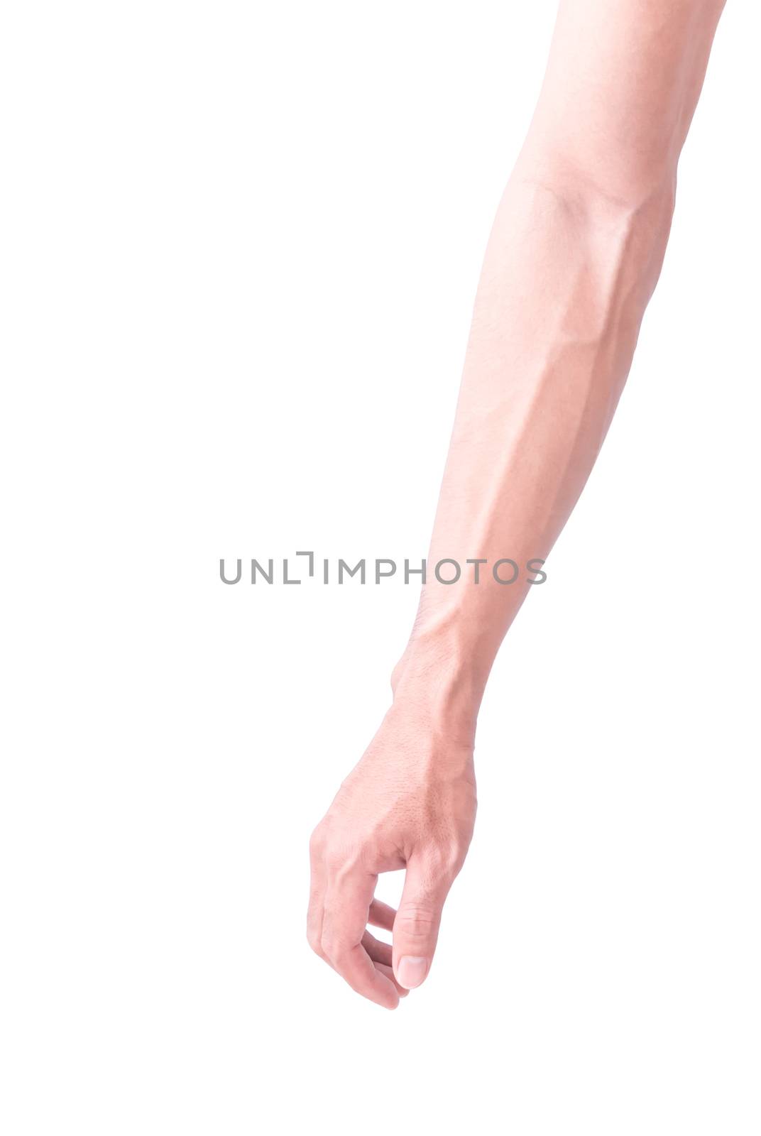 Man arm with blood veins on white background