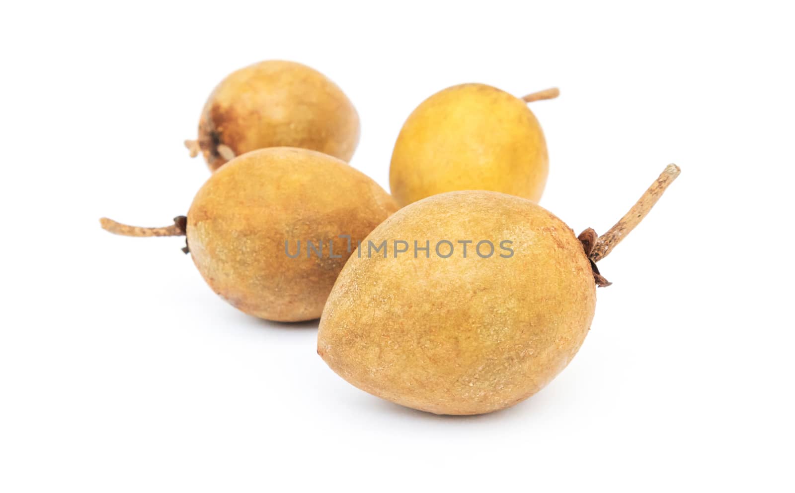 Fresh sweet Sapodilla fruit on white background by pt.pongsak@gmail.com