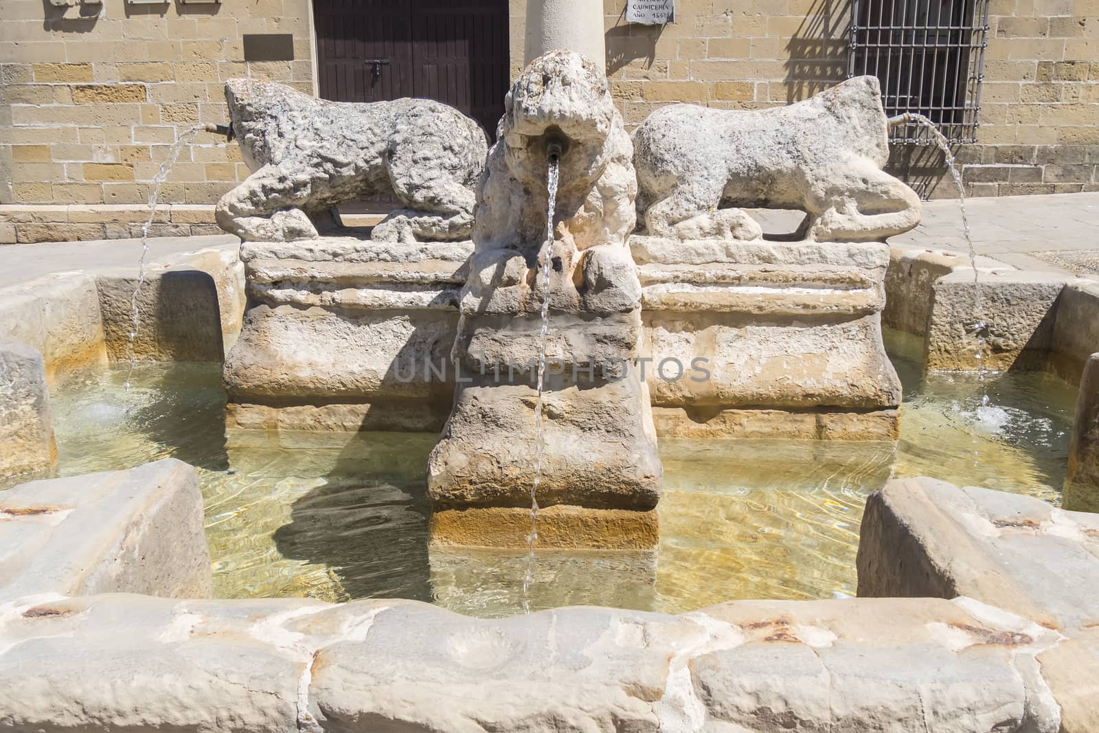 Lions fountain, Populo square, Baeza, Jaen, Spain by max8xam
