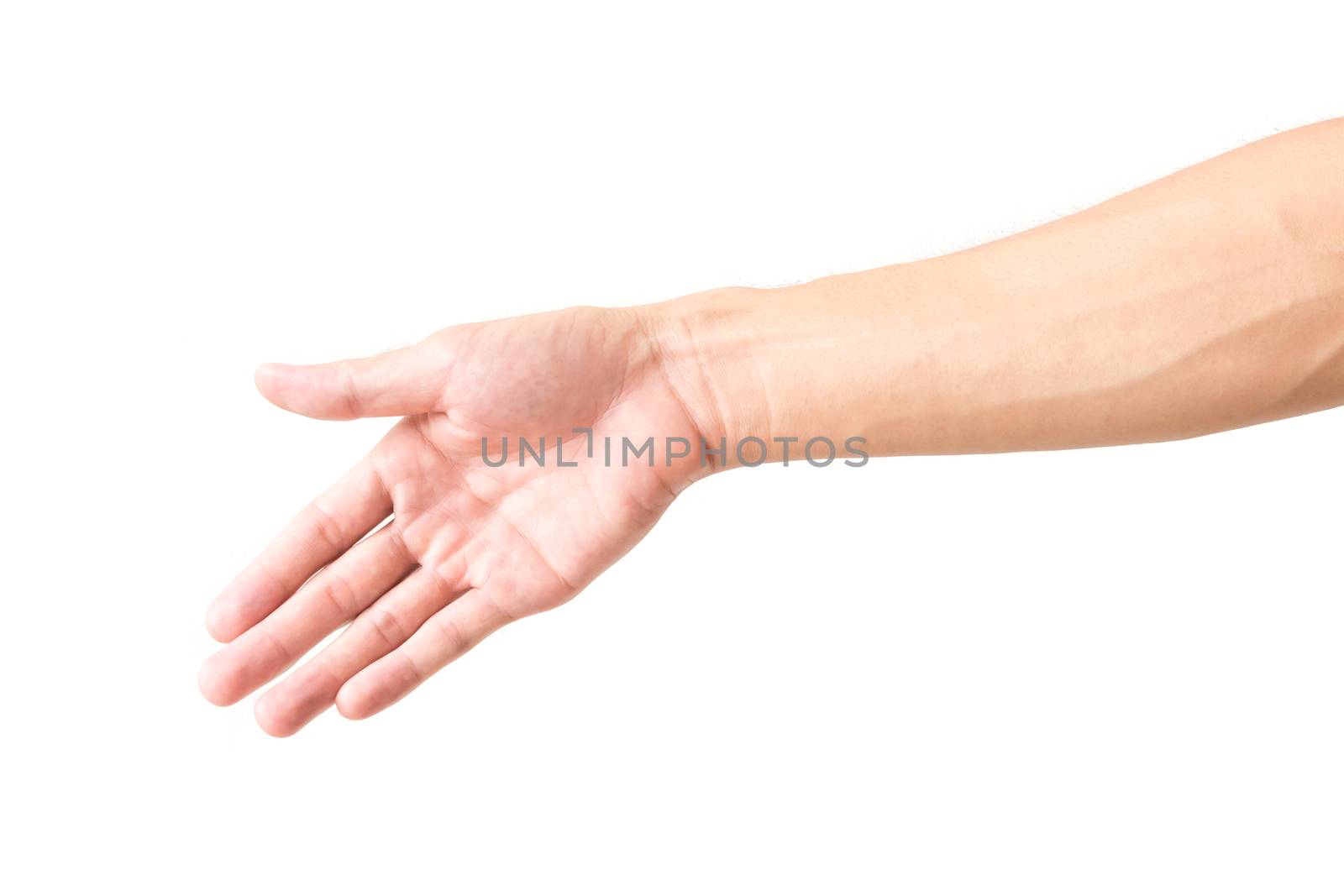 Man arm with blood veins on white background