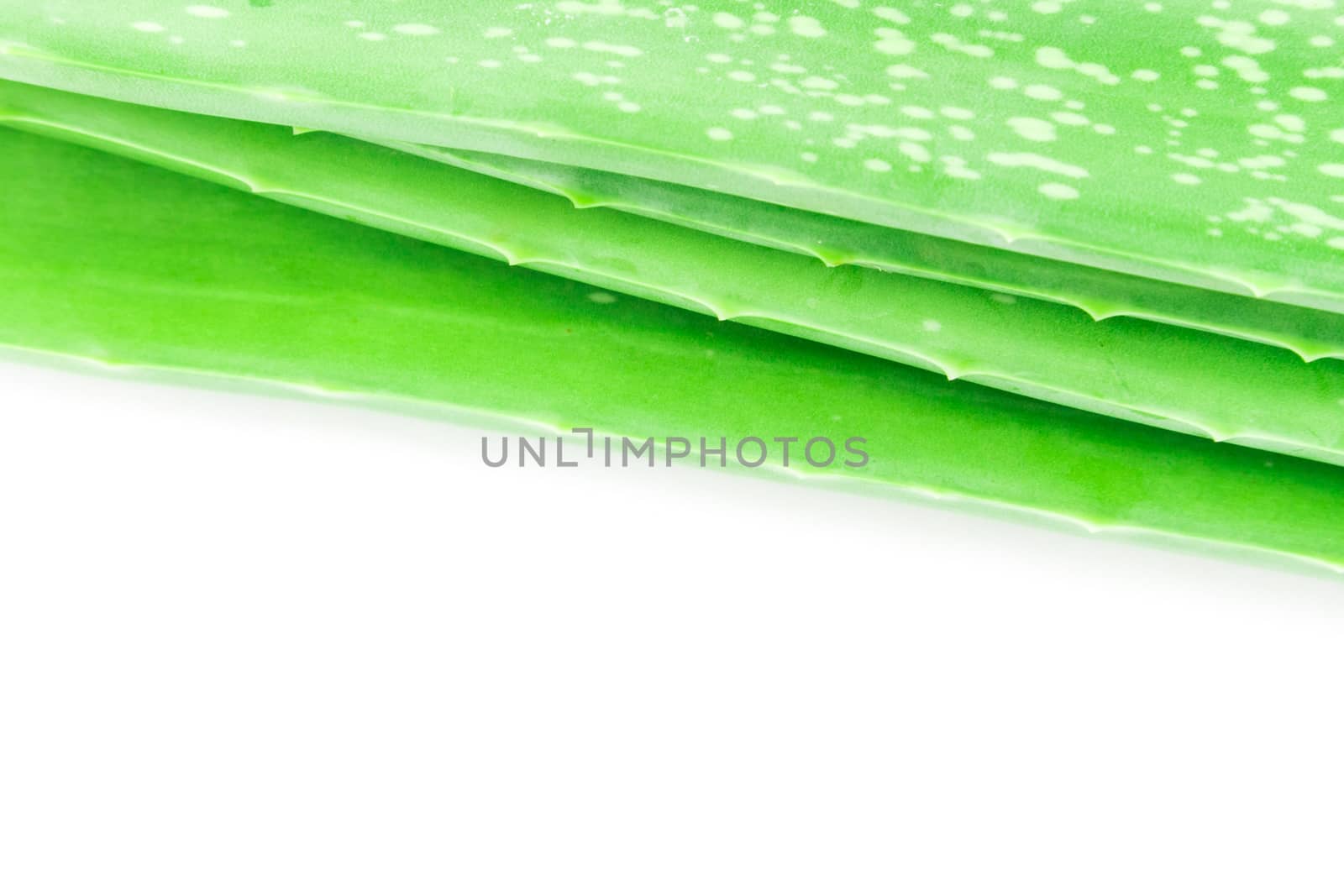 Closeup fresh aloe vera skin texture on white background, beauty and healthy care concept, selective focus