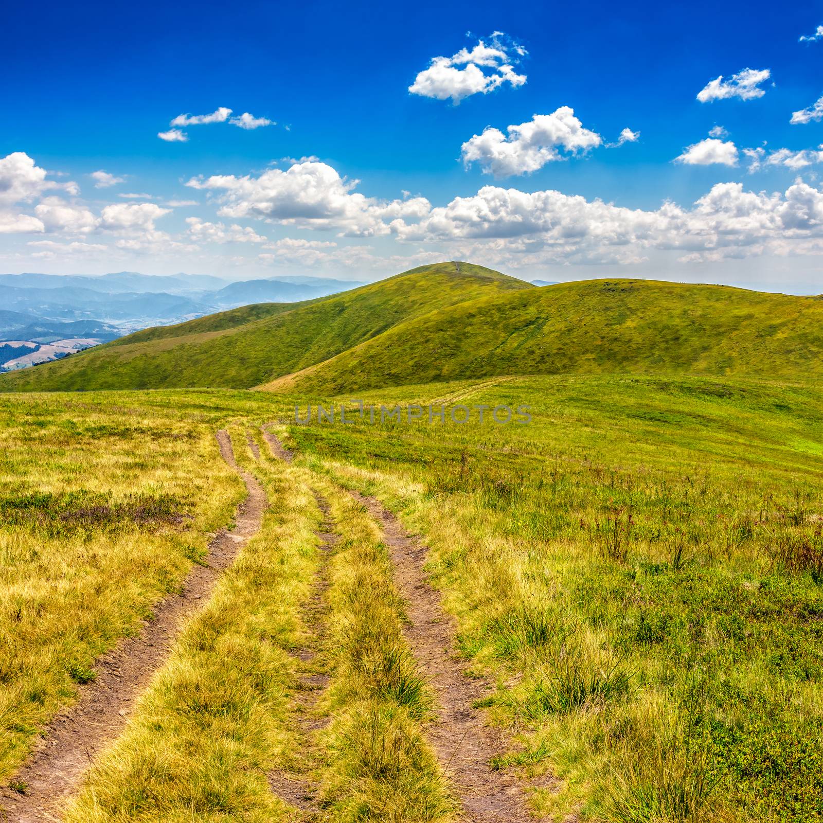 mountain landscape. curve path through the meadow on hillside