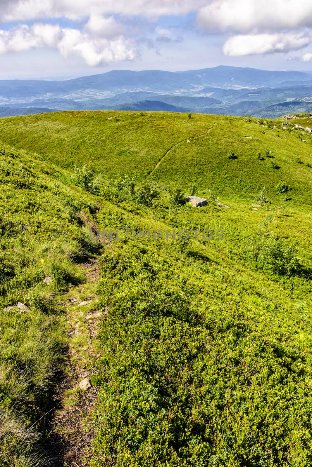path among stones on hillside by Pellinni