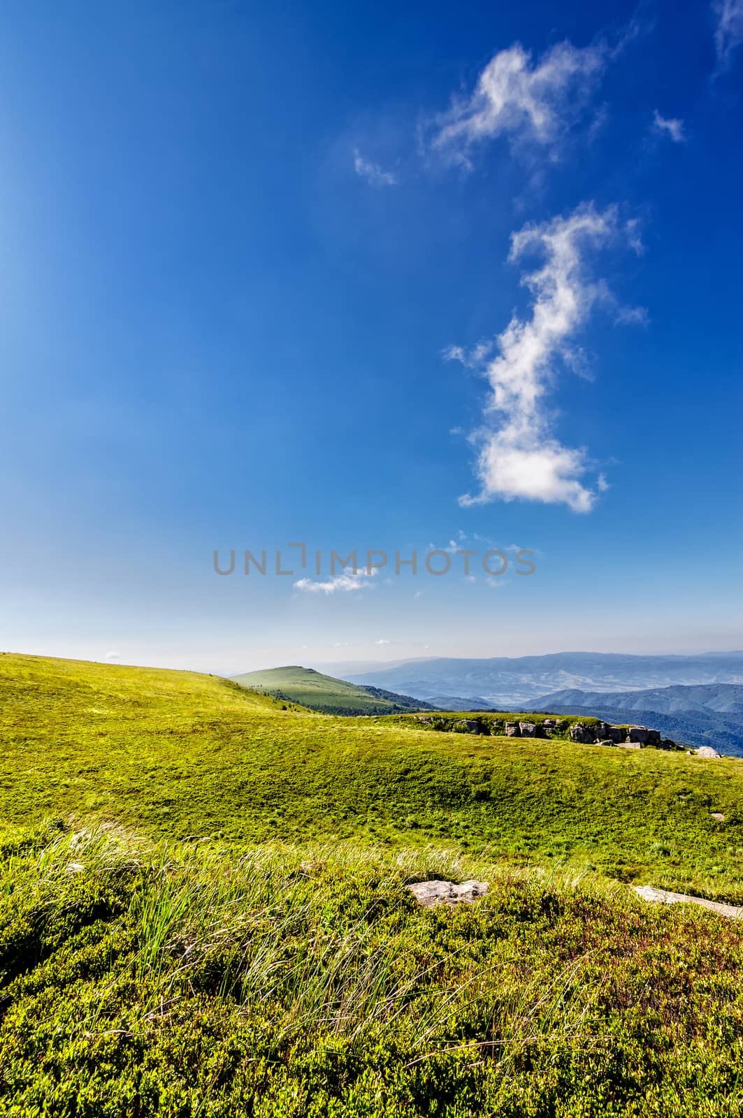 green grass on  hillside meadow in high mountains under the cloudy blue sky