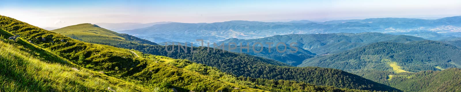 panoramic summer landscape with hillside meadow in Carpathian mountains