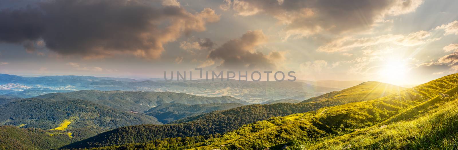 panoramic summer landscape with hillside meadow in Carpathian mountains in evening light