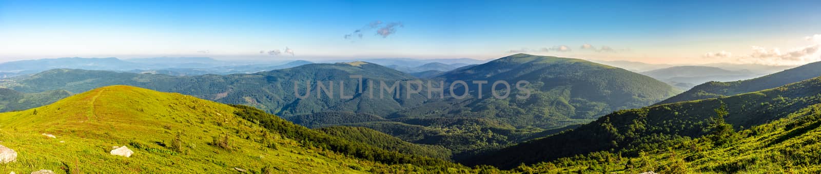panoramic summer landscape with hillside meadow in mountains