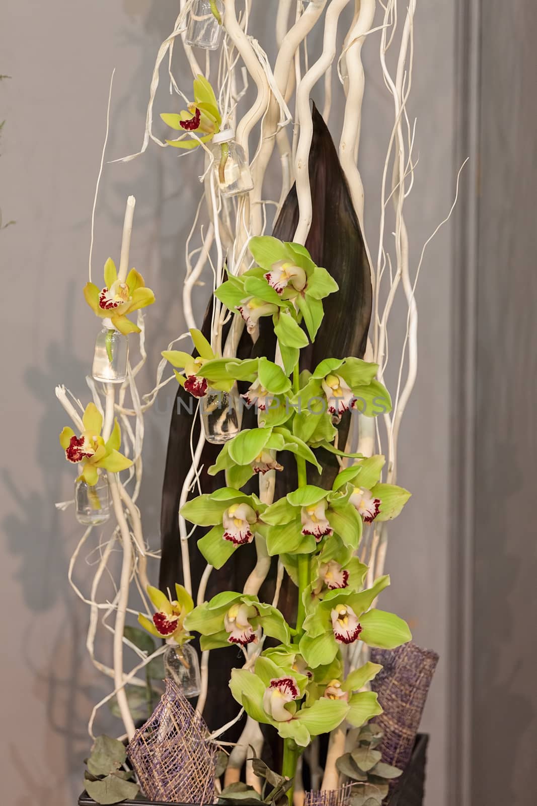 decoration with orchids, note shallow depth of field