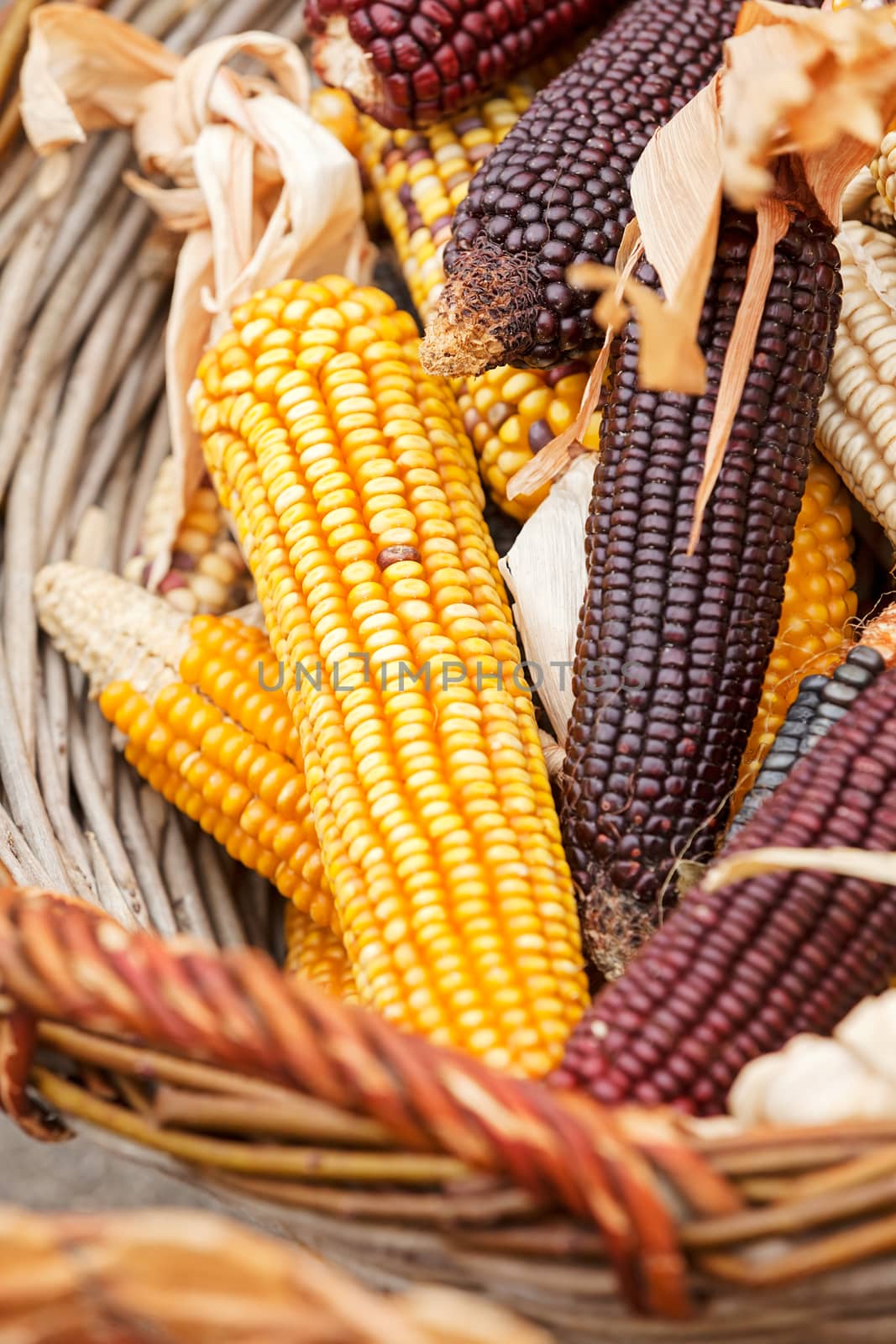 dried corn in a basket, note shallow depth of field