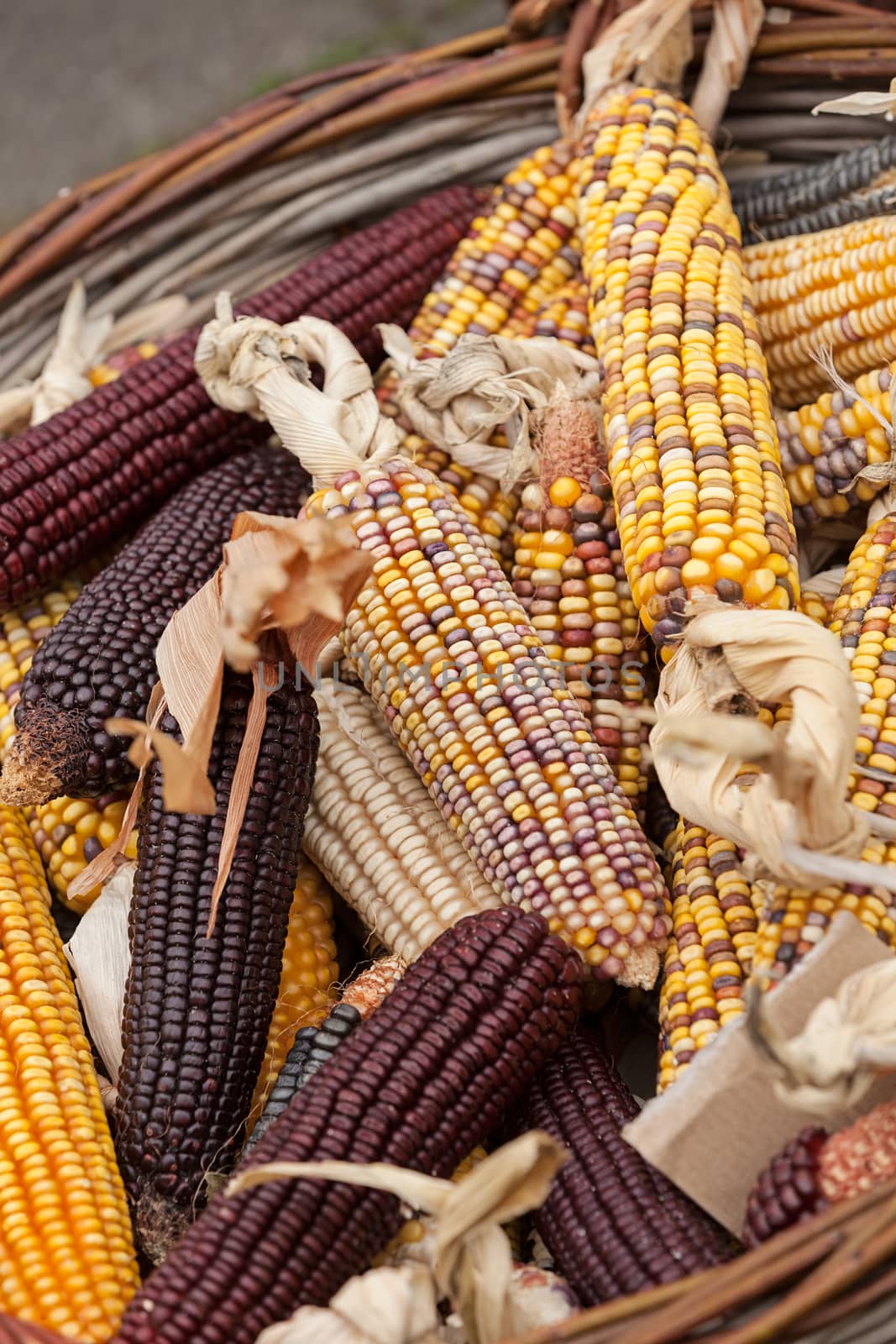 dried corn in a basket, note shallow depth of field