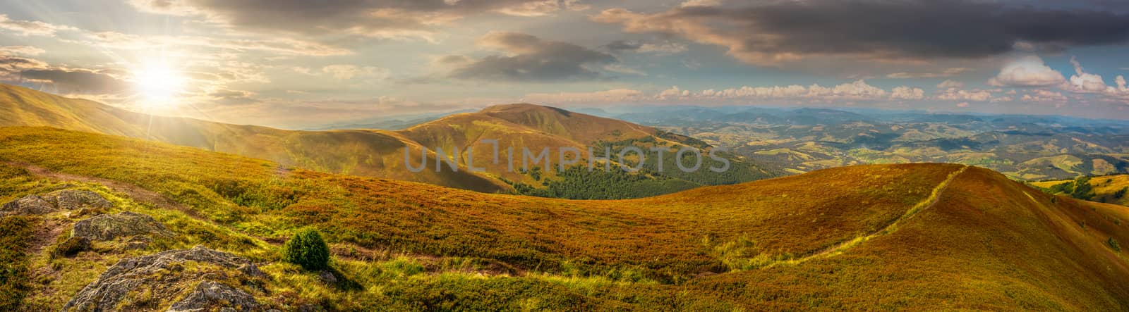 panoramic summer landscape under blue sky with clouds. Path through hillside meadow on Borzhava mountain ridge in Carpathians in evening light