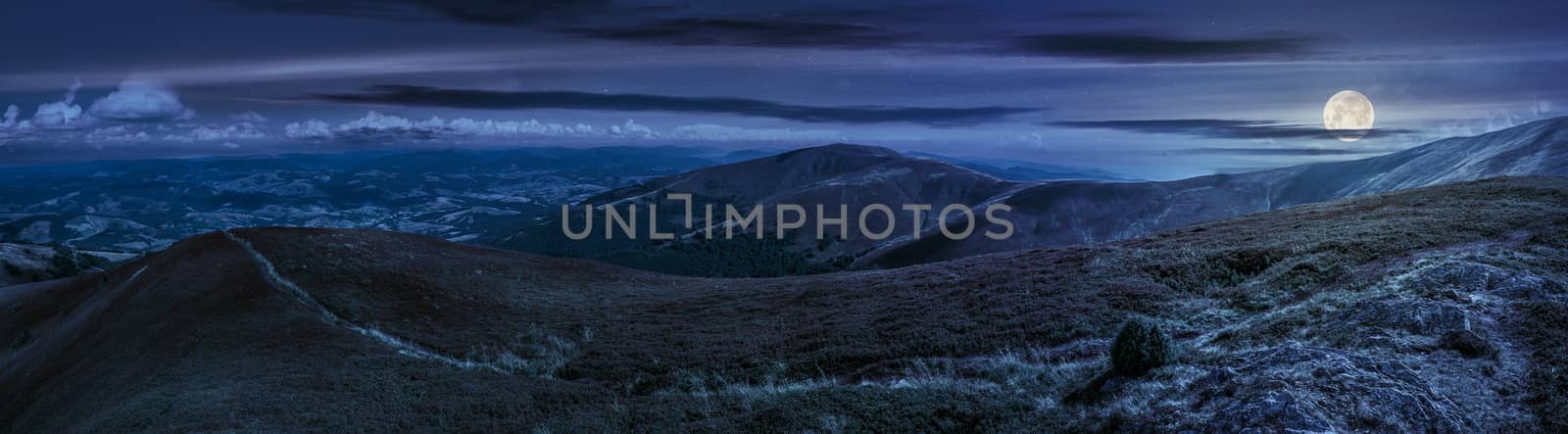 panoramic summer landscape under blue sky with clouds. Path through hillside meadow on Borzhava mountain ridge in Carpathians at night in full moon light