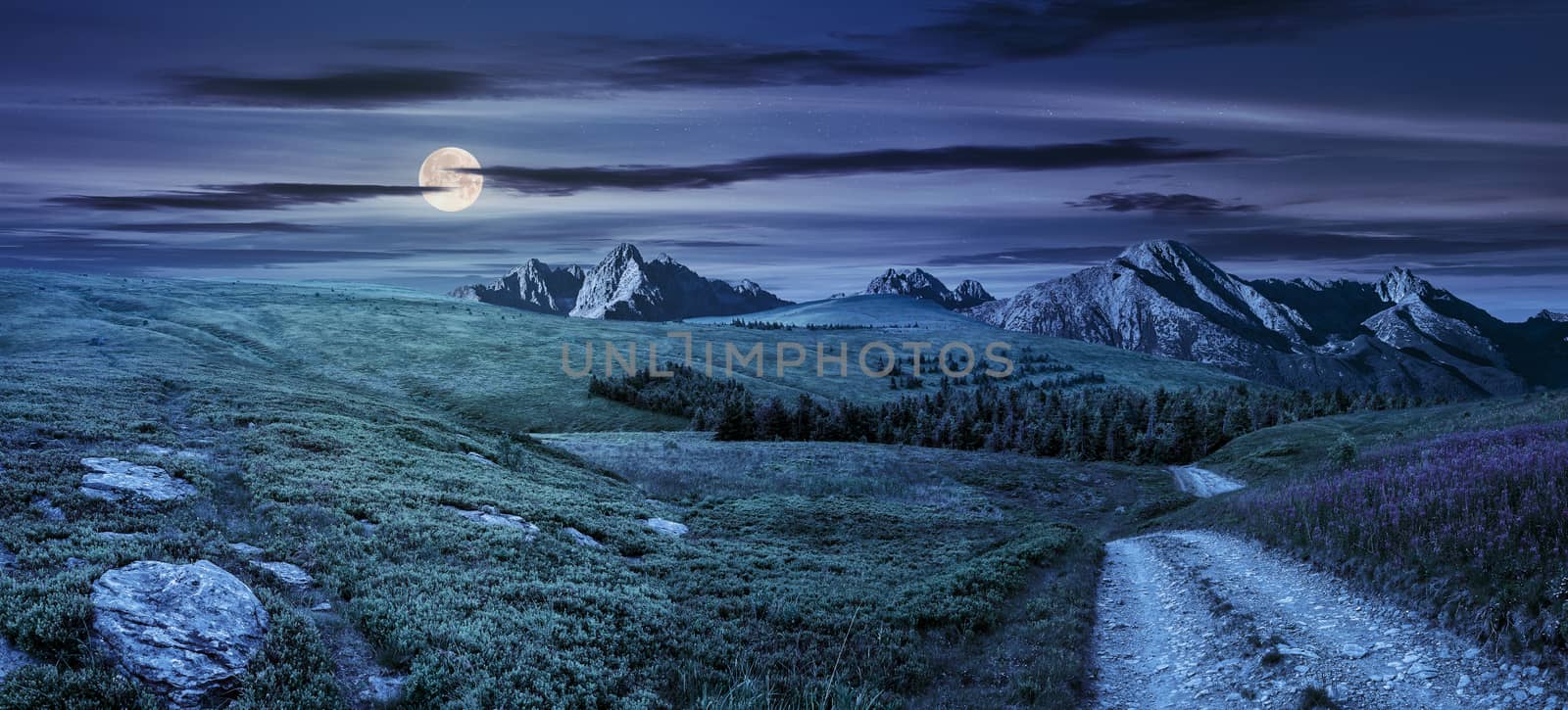 composite summer landscape with high wild grass and purple flowers near the road to forest on mountain hillside and rocky peaks in the distance at night in full moon light