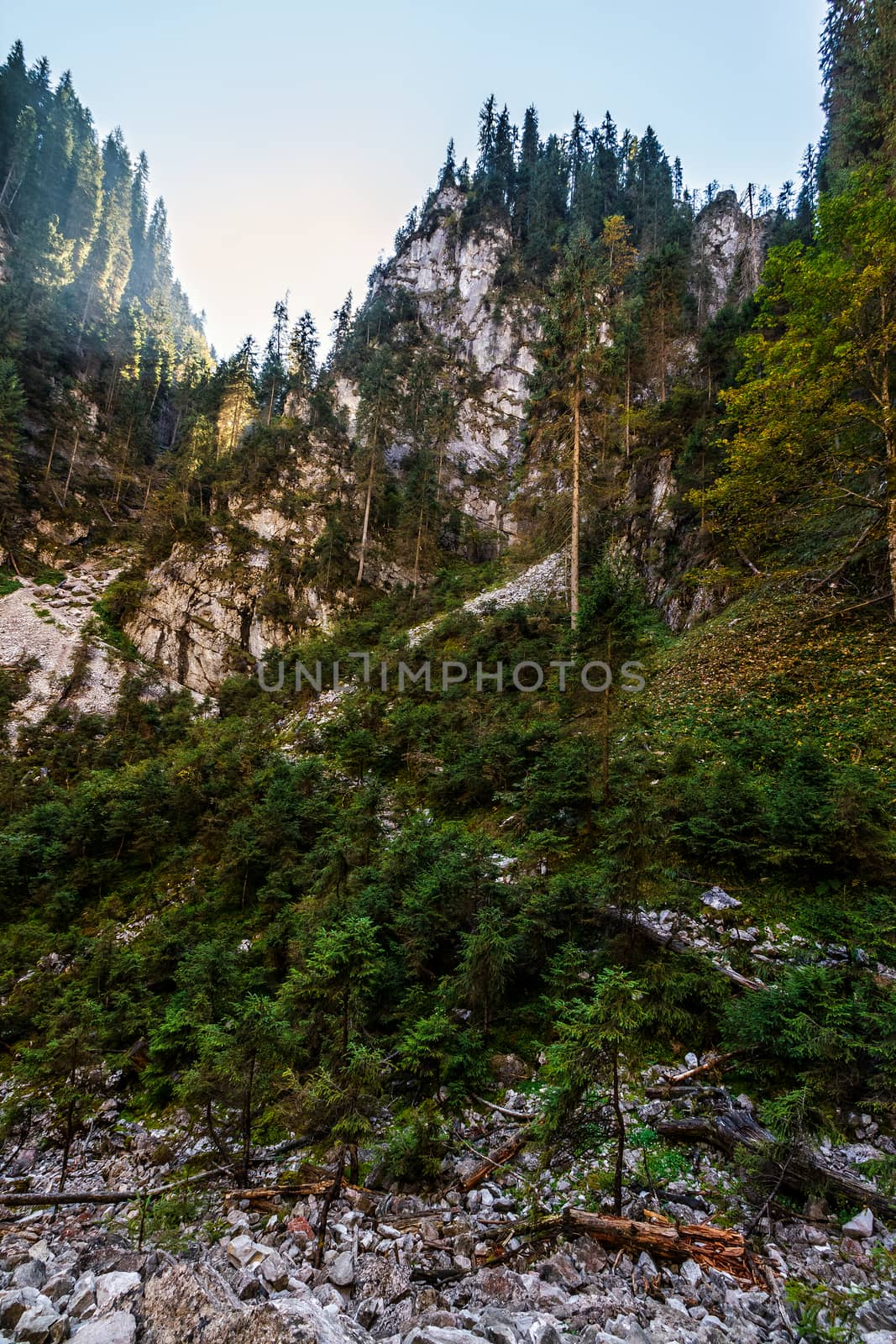 Canyon in romanian mountains by Pellinni