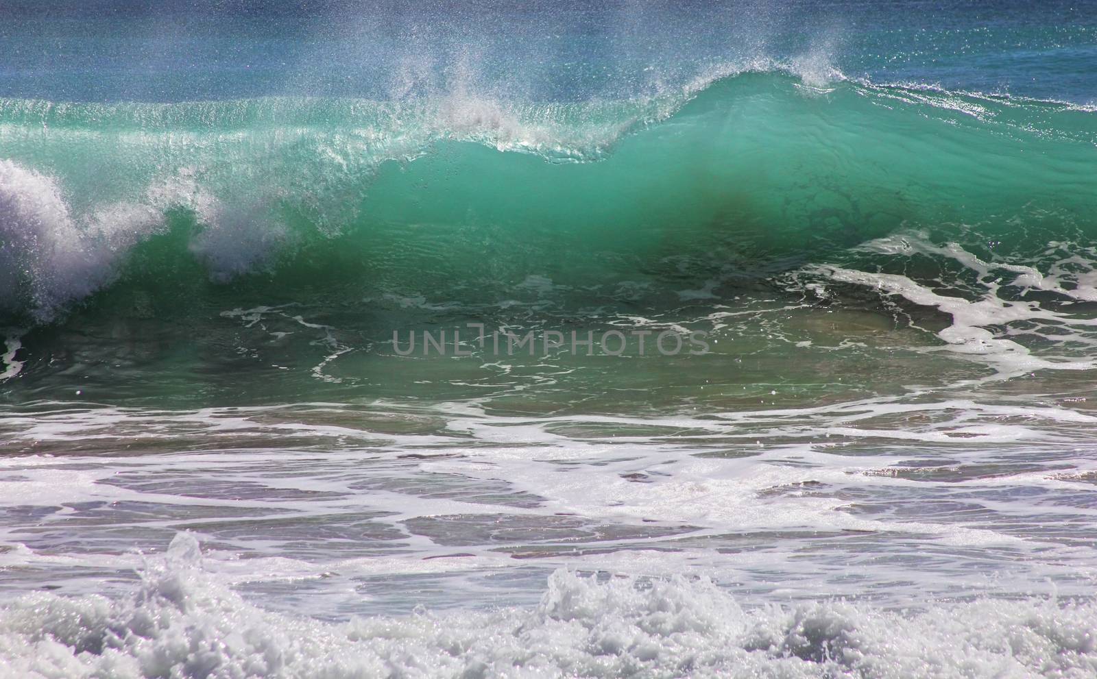 Big wave crashes on to the shore. Indian ocean
