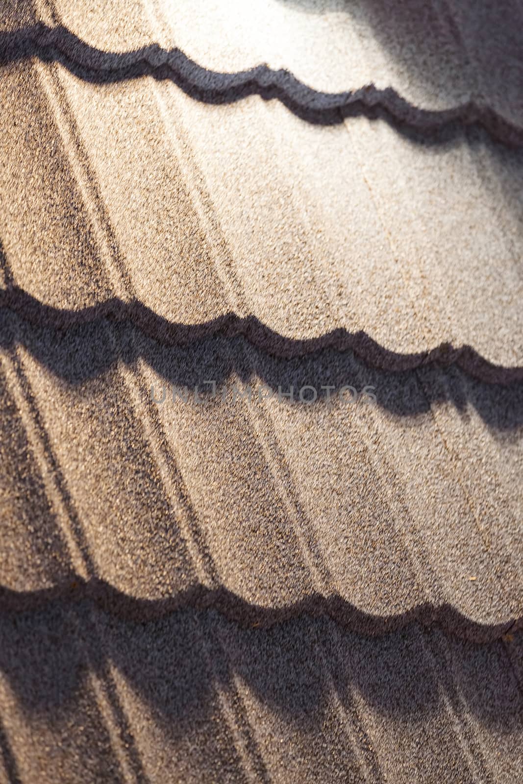 black roof tiles to cover the house, note shallow depth of field