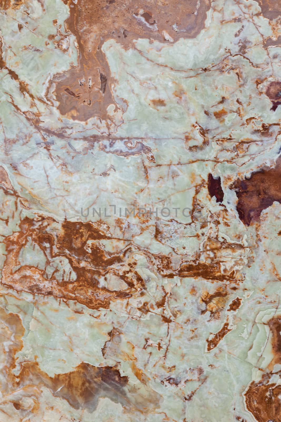 brown and white marble floor like a background, note shallow depth of field