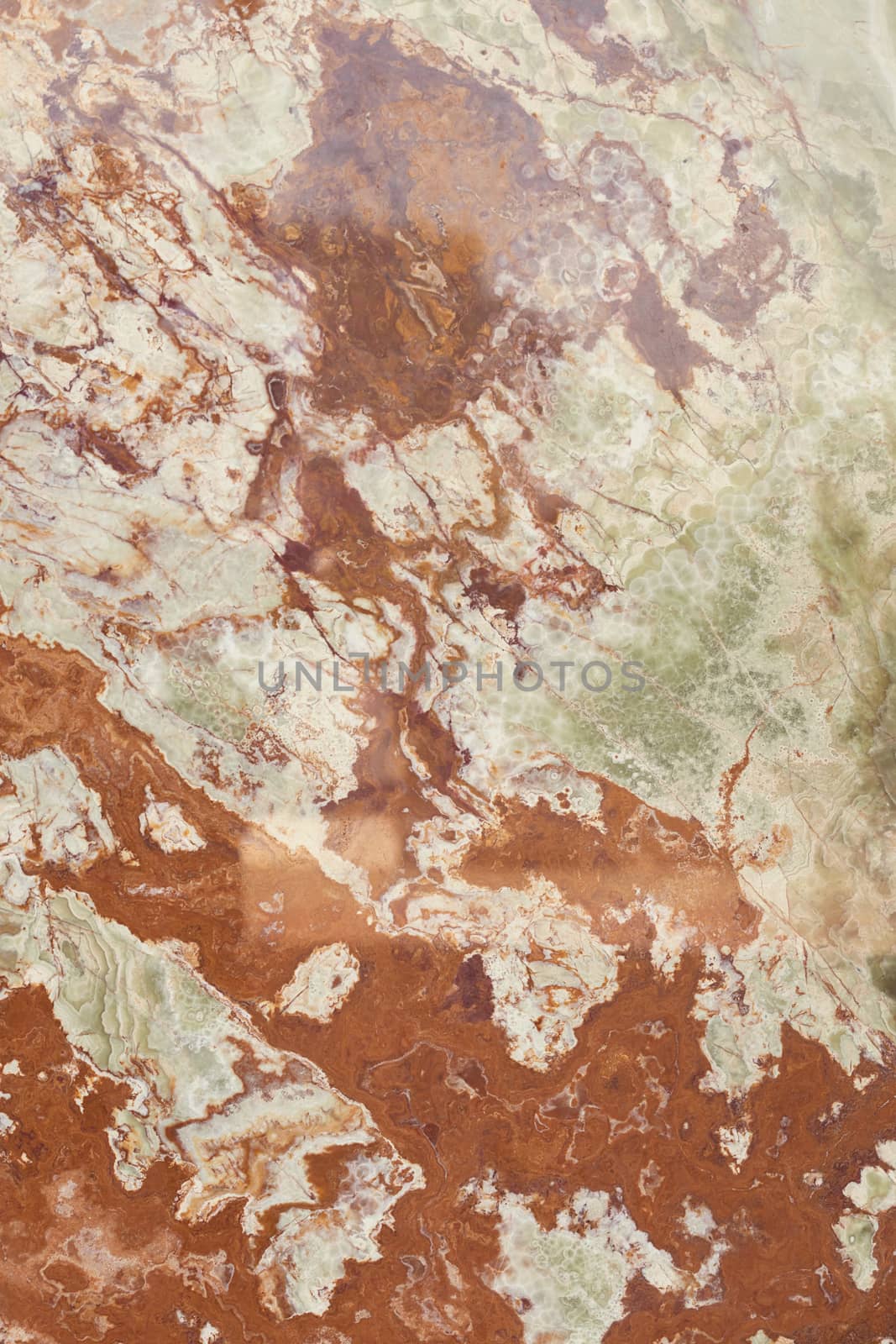 brown and white marble floor like a background, note shallow depth of field