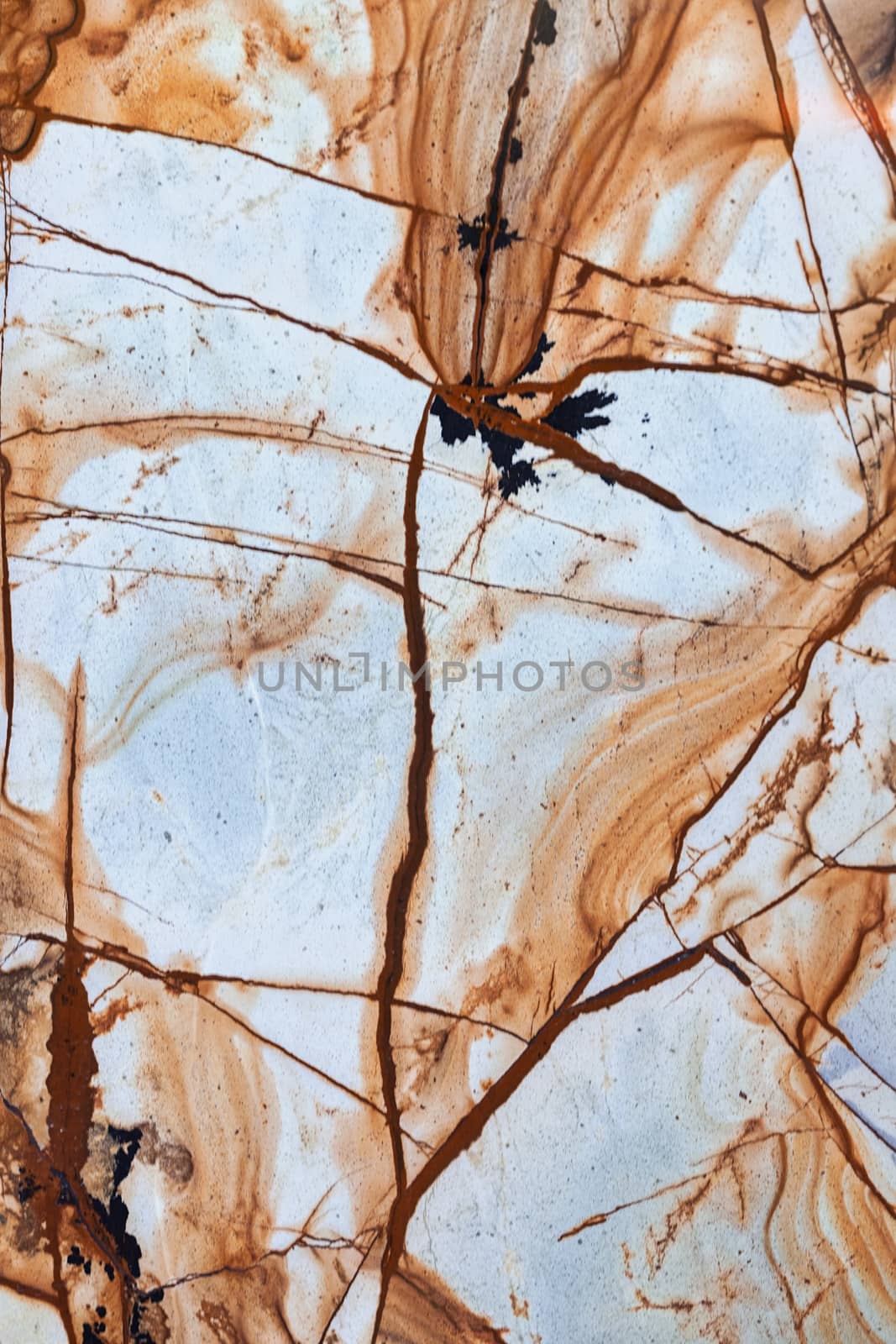 colorful marble floor like a background, note shallow depth of field
