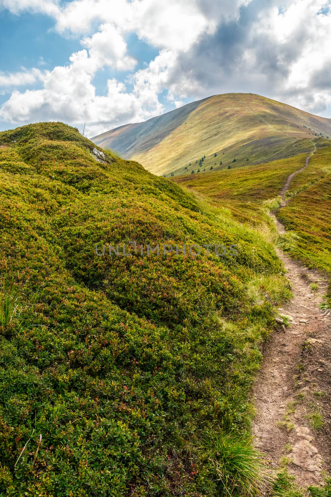 narrow path through a meadow down the mountain ridge to the rural valley