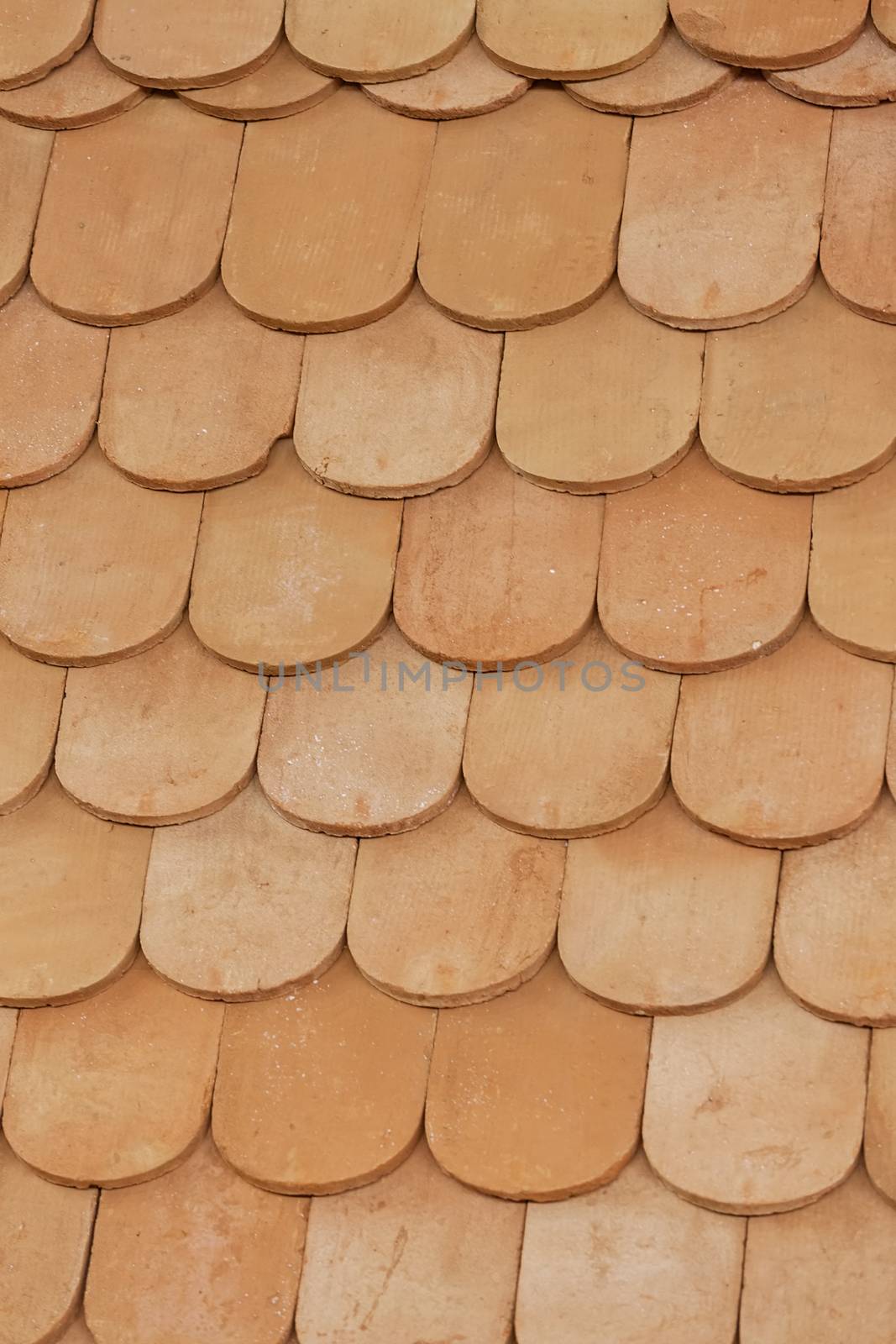 semi-circular roof tiles, note shallow depth of field