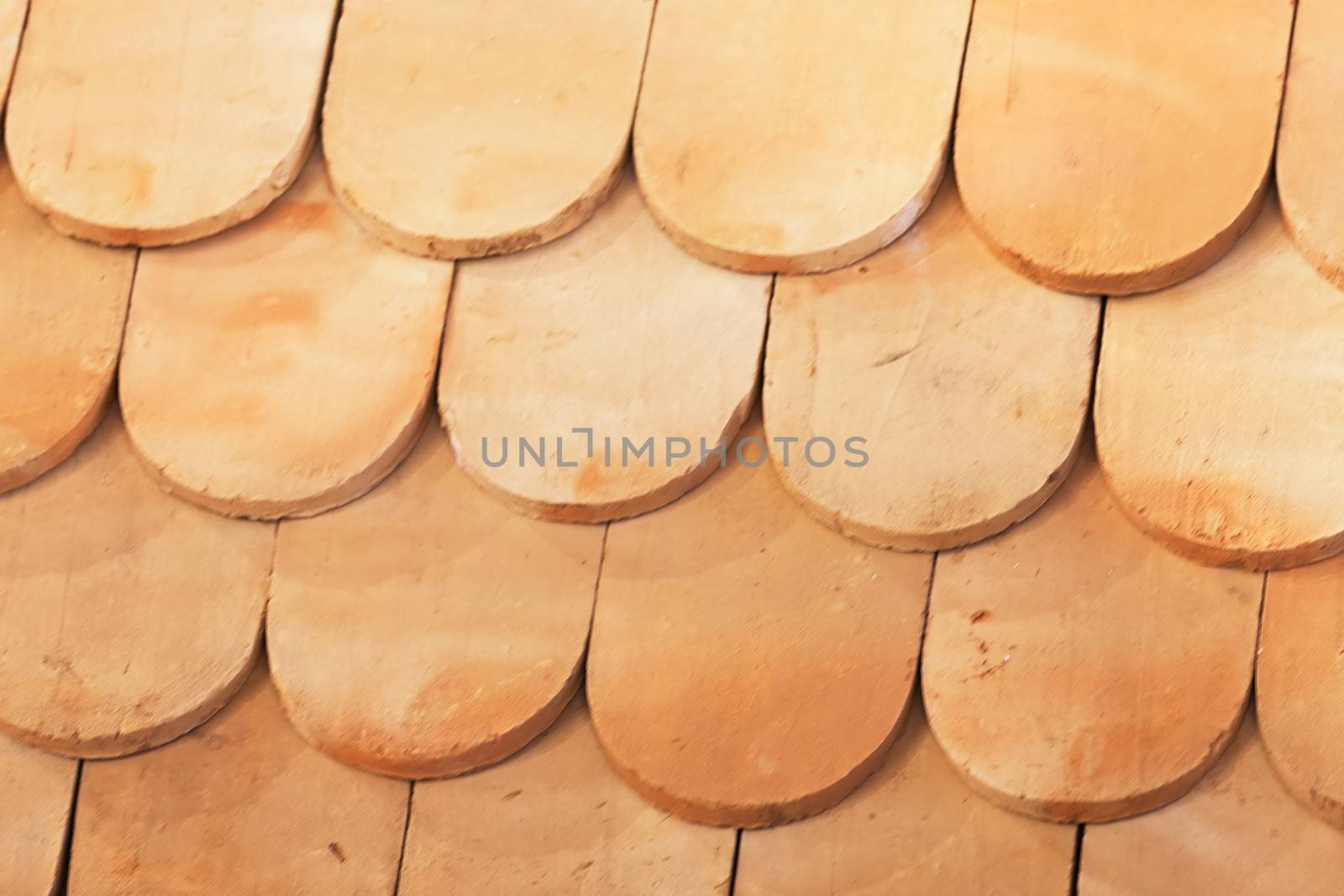 semi-circular roof tiles, note shallow depth of field