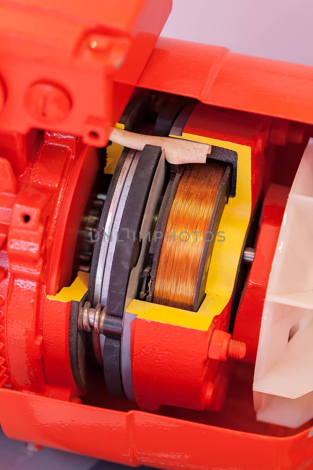  cross-section of the vertical cylindrical gear by vladimirnenezic