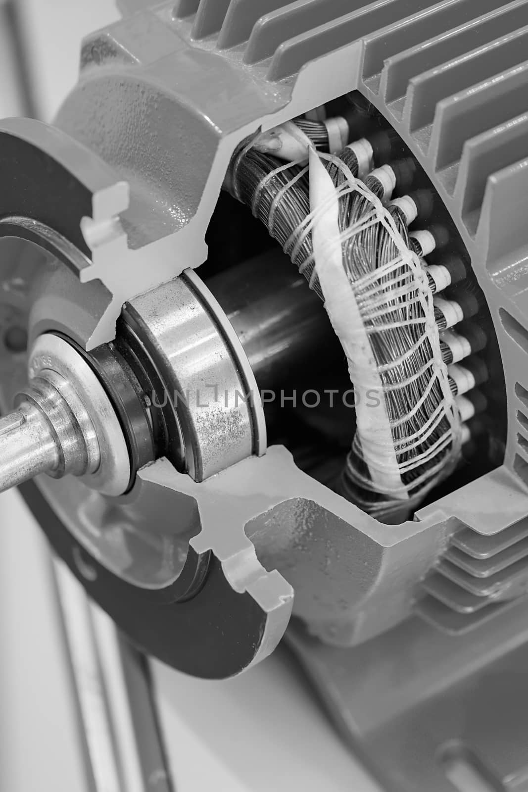  cross-section of the vertical cylindrical gear by vladimirnenezic