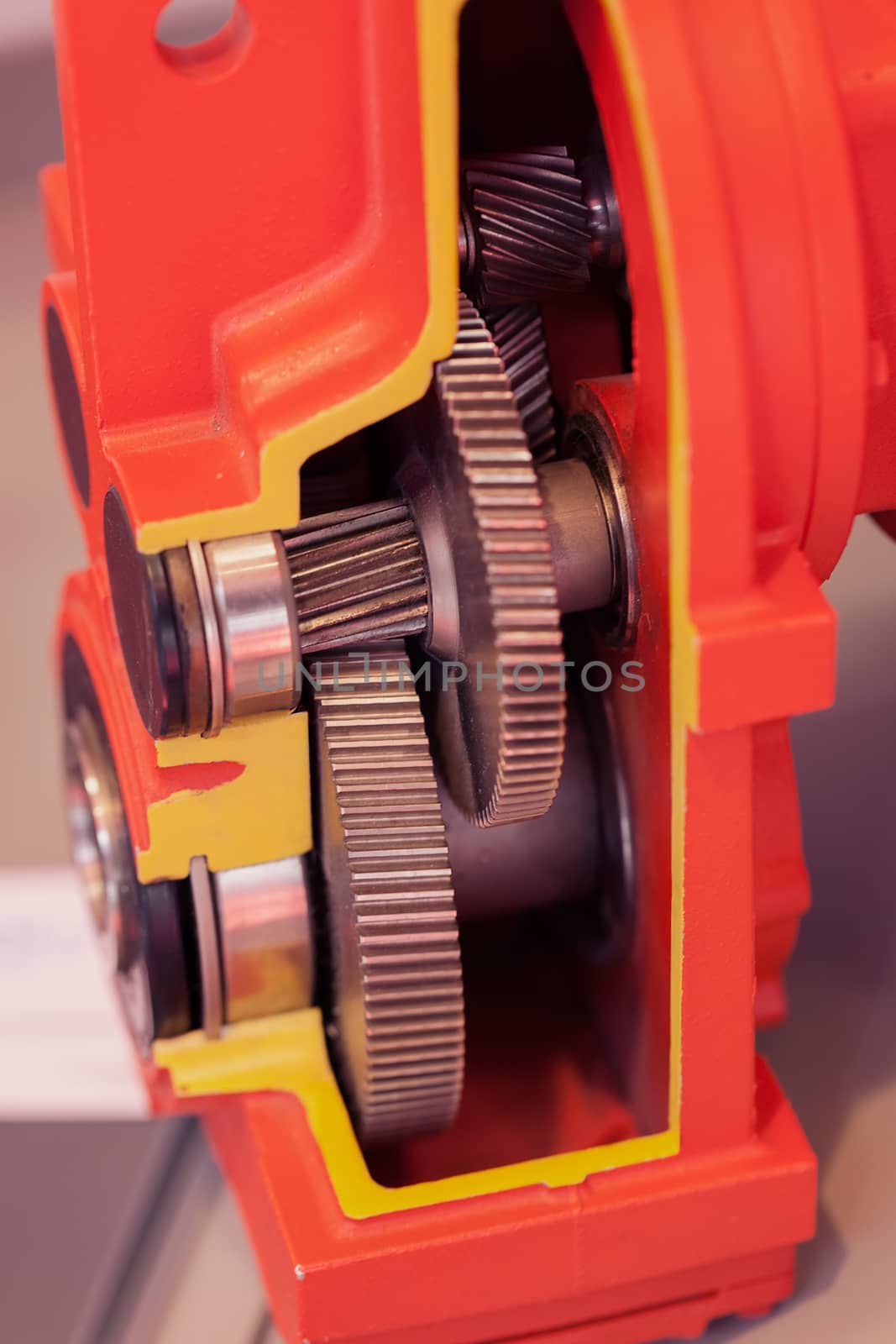 section of vertical gear unit with cylindrical gears, note shallow depth of field